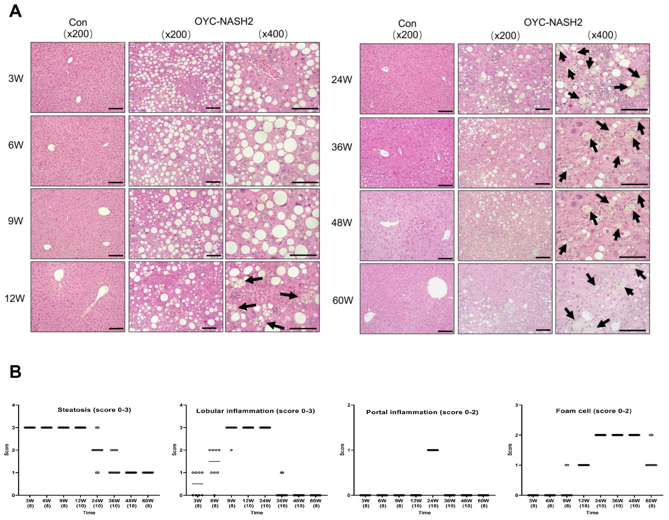 Cancers 15 03744 g002 Cancers 15 03744 g002