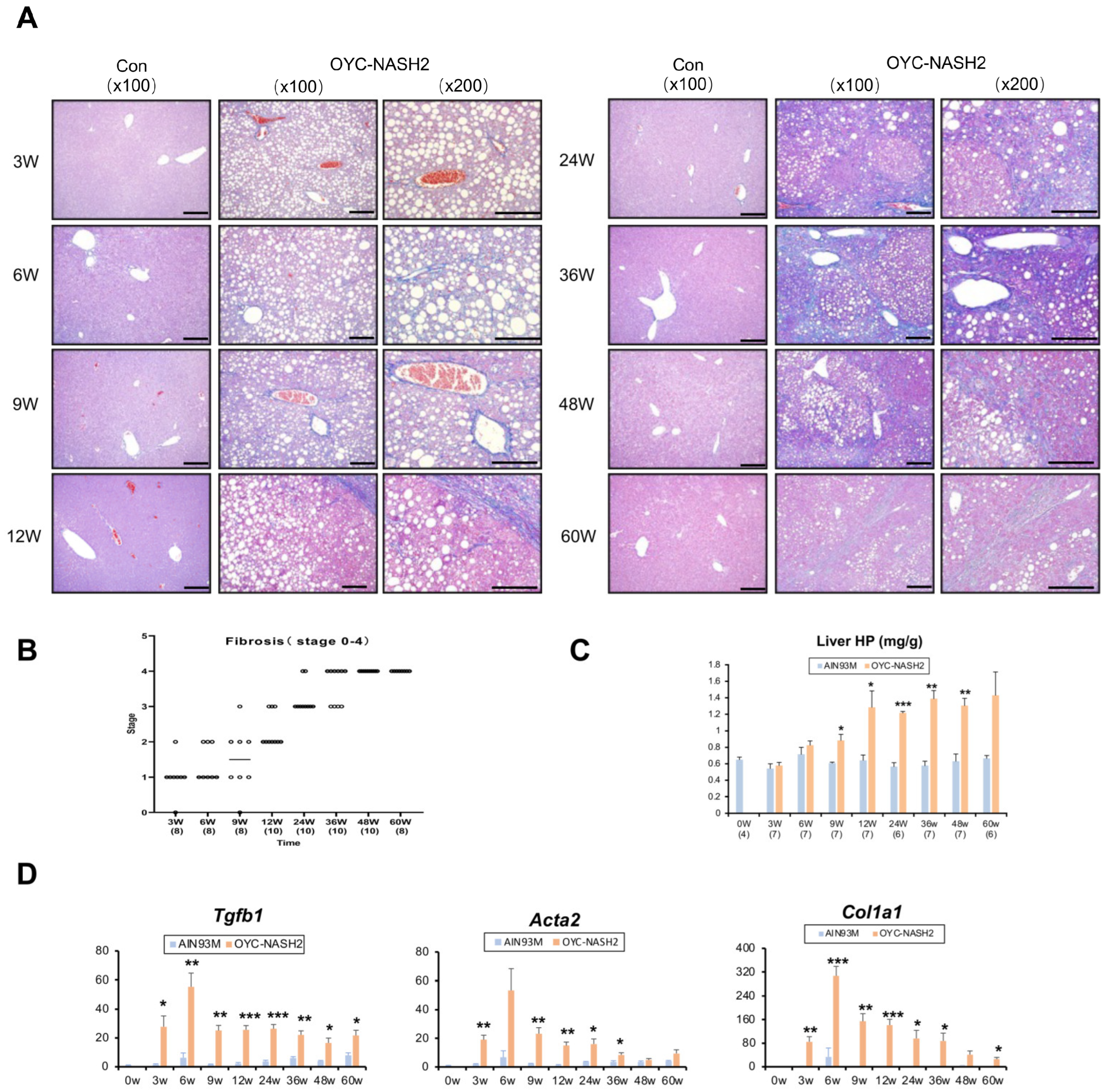 Cancers 15 03744 g003 Cancers 15 03744 g003