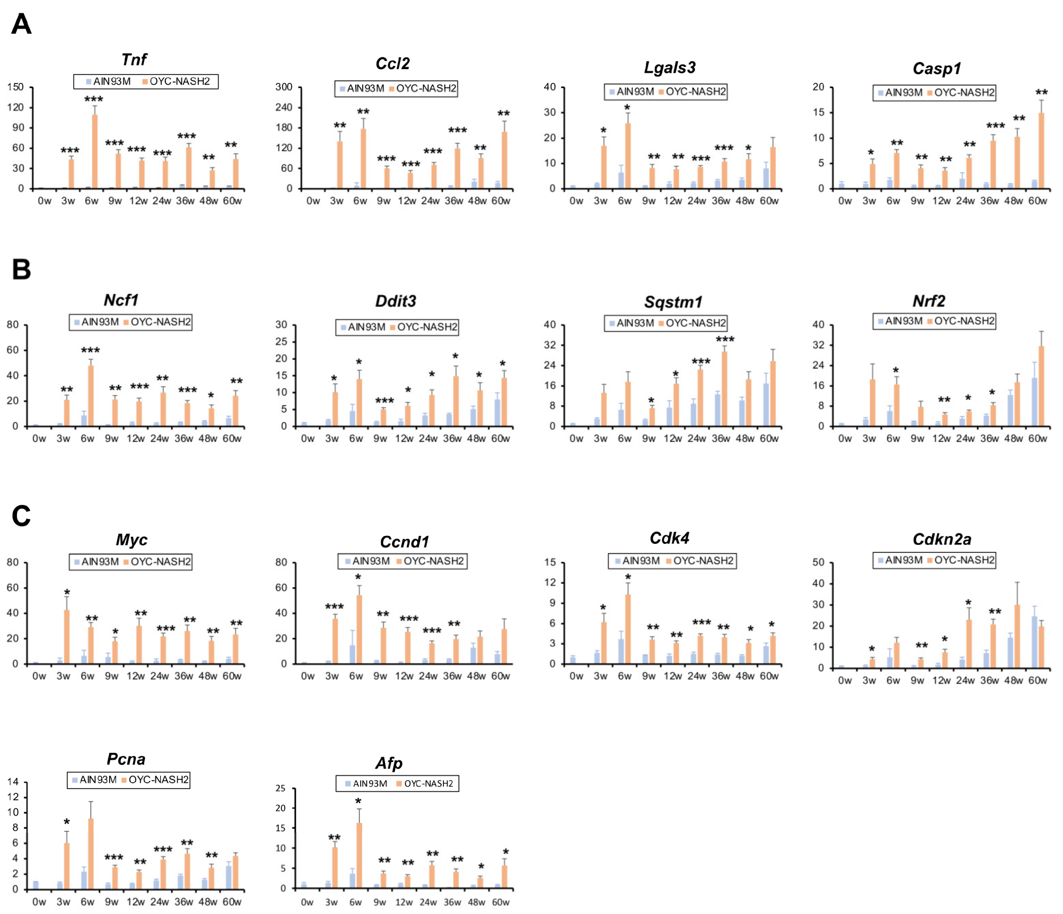 Cancers 15 03744 g005 Cancers 15 03744 g005