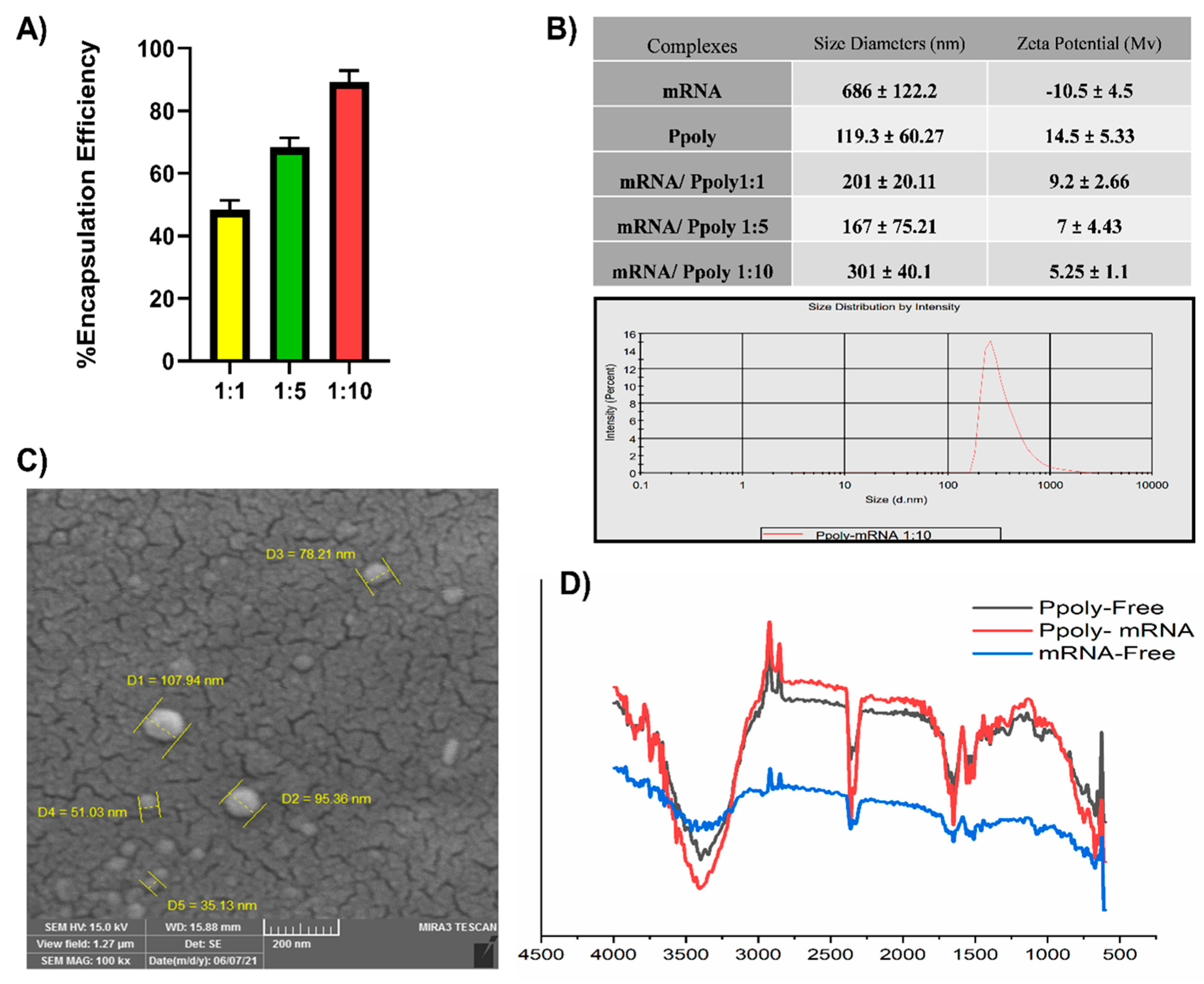 Cancers 15 03748 g002