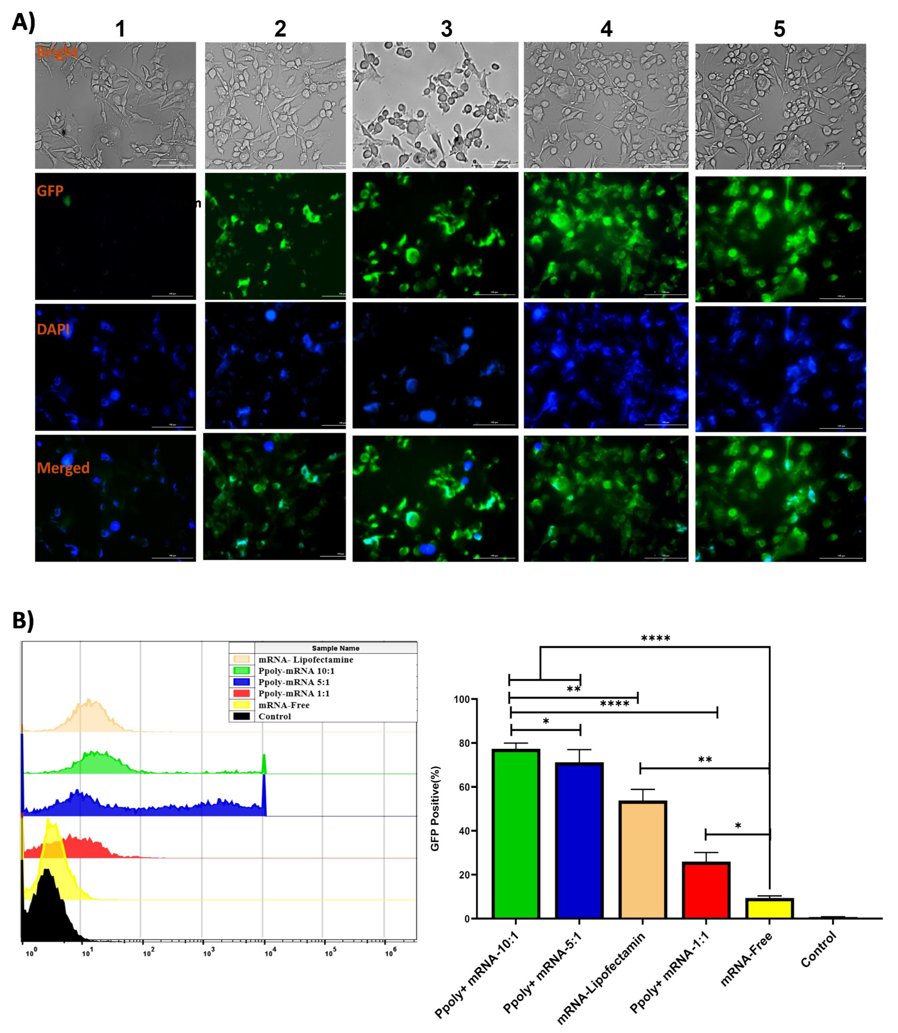Cancers 15 03748 g003