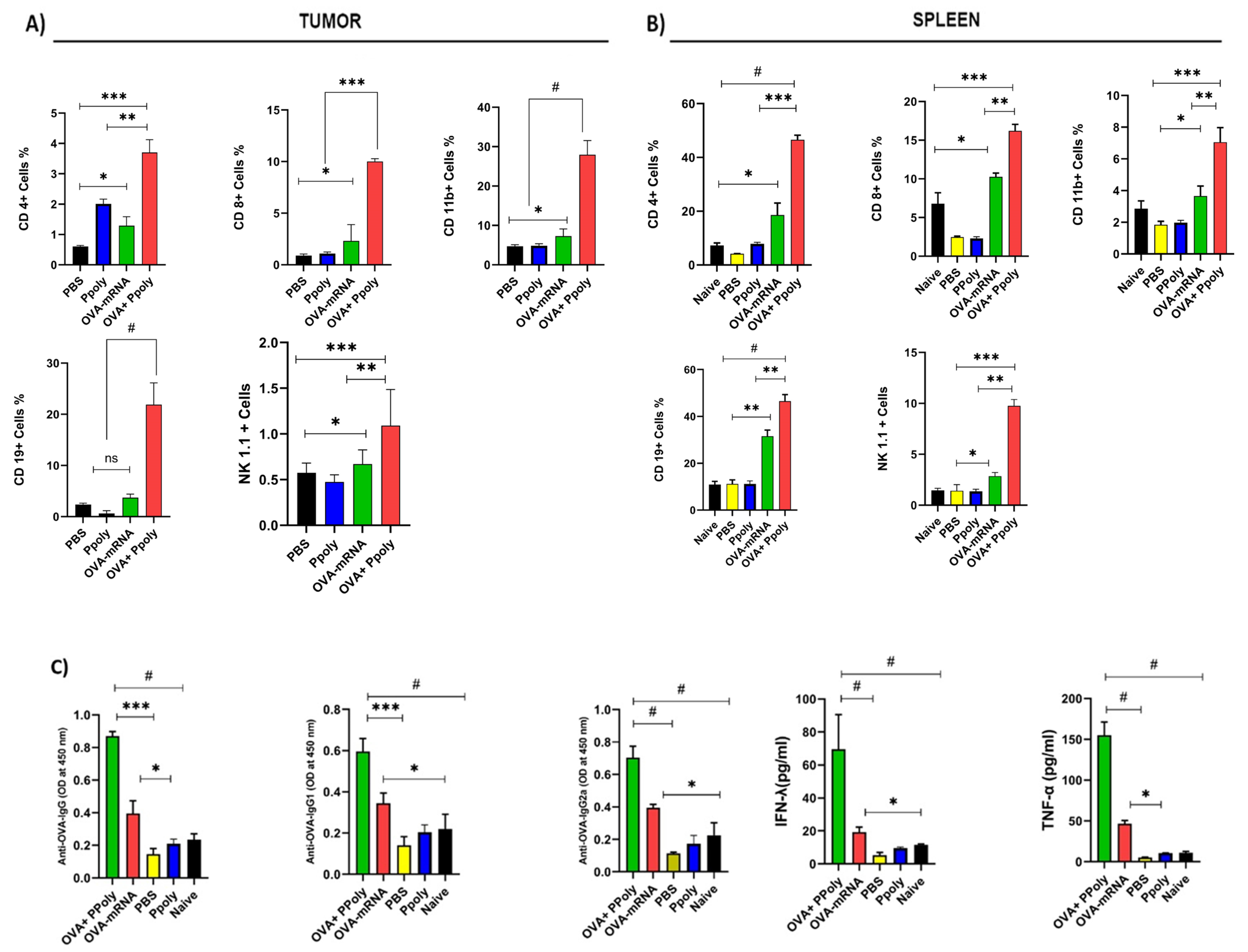 Cancers 15 03748 g006