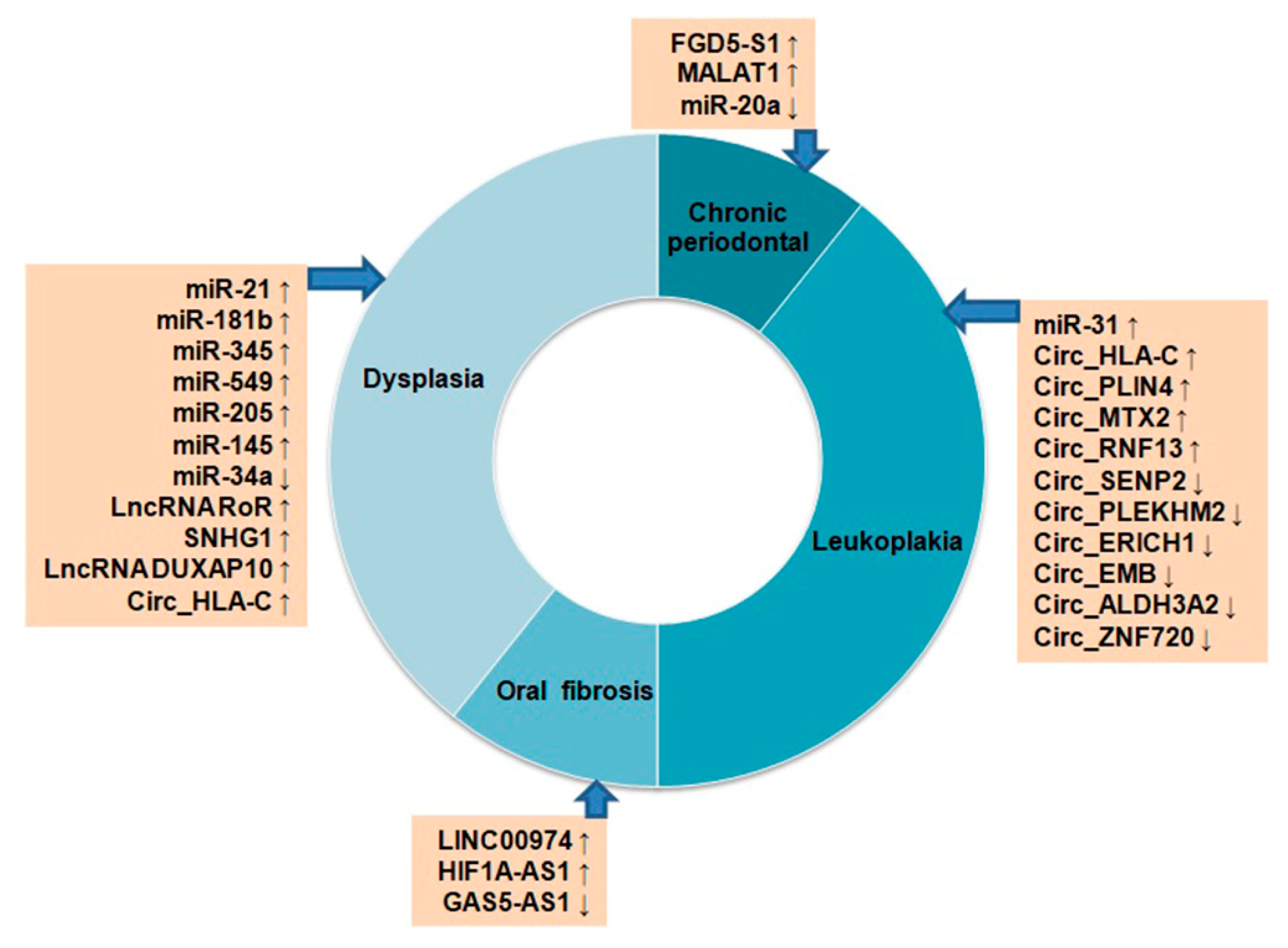 Cancers 15 03752 g002