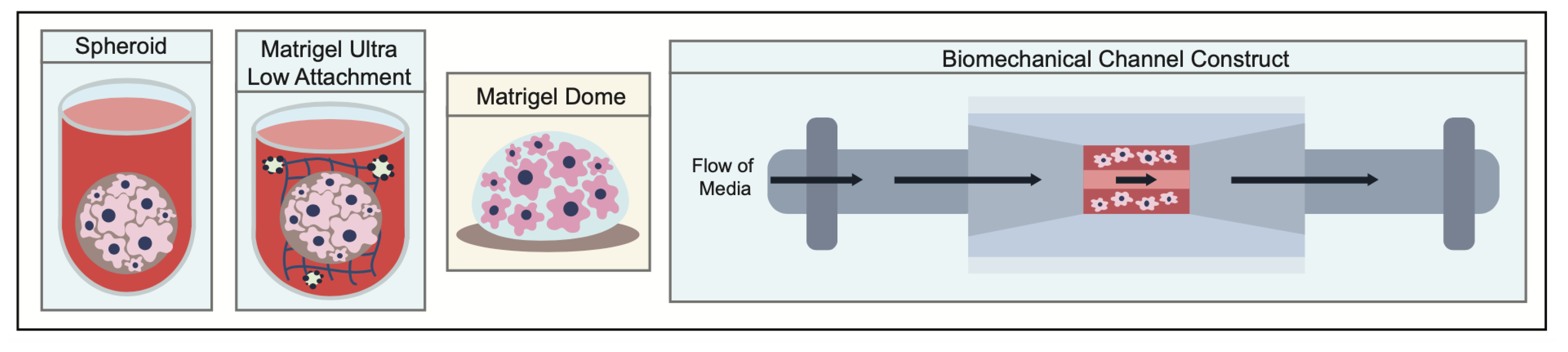Cancers 15 03756 g004