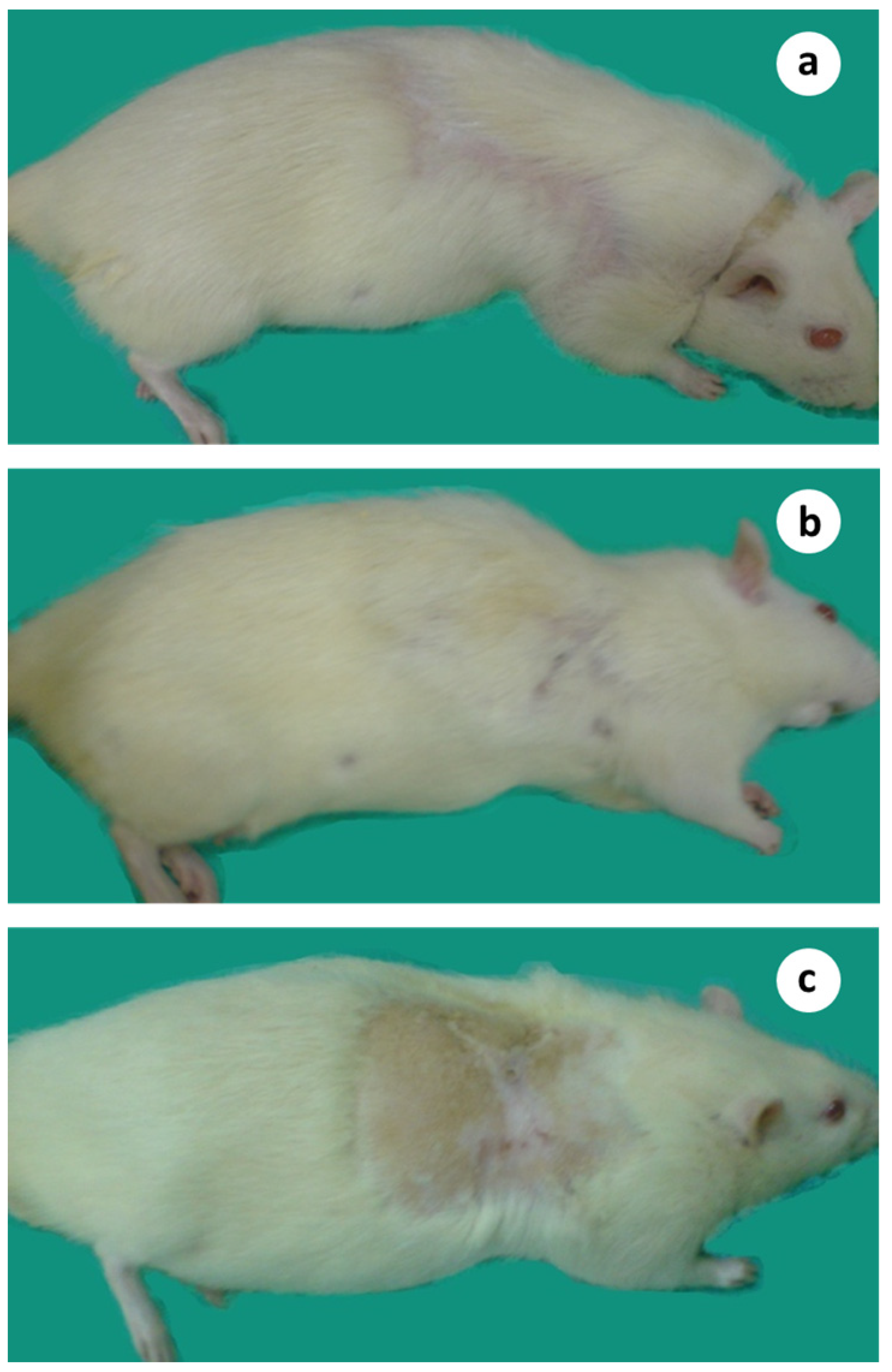 Cancers 15 03758 g008 Cancers 15 03758 g008