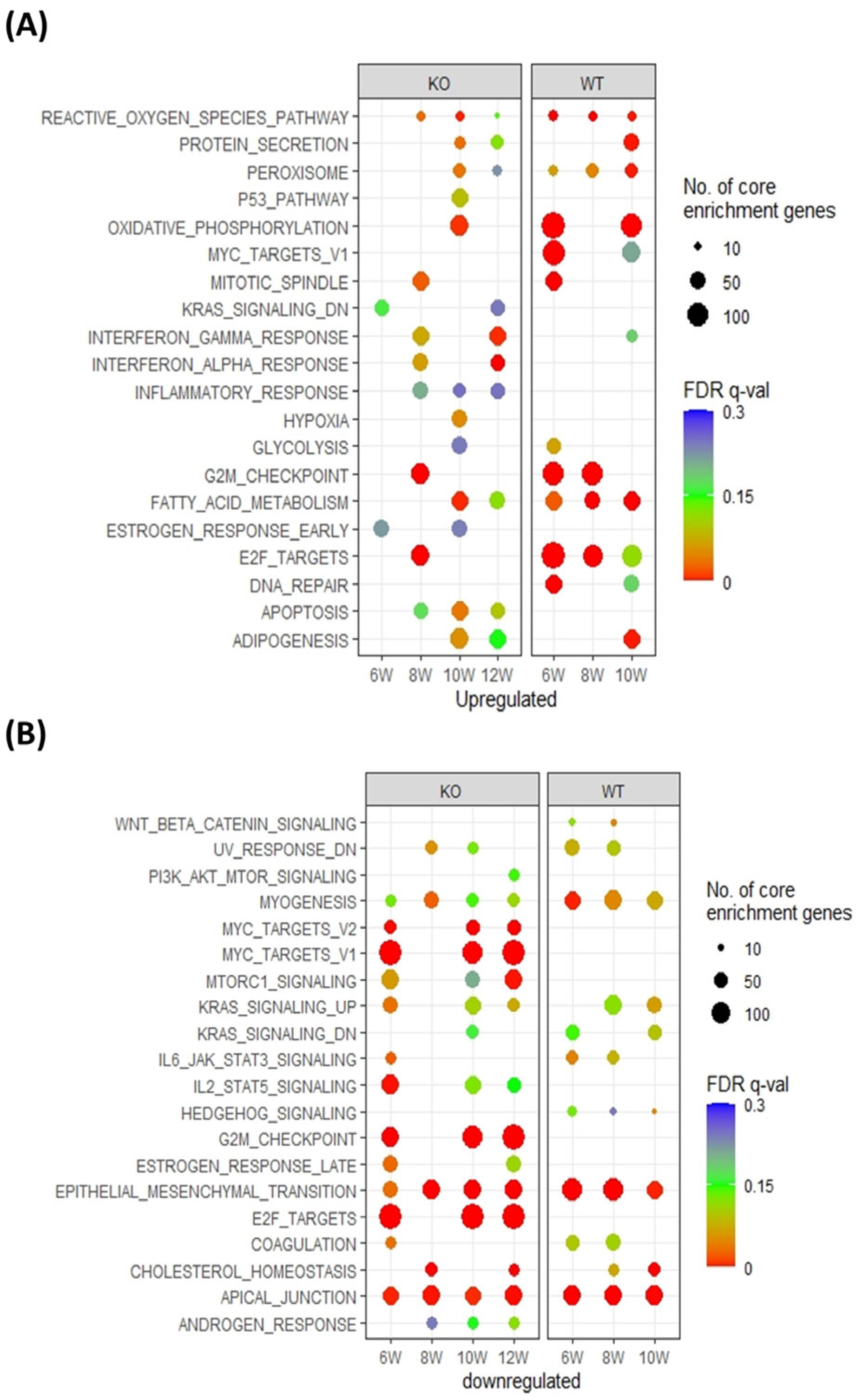 Cancers 15 03763 g003