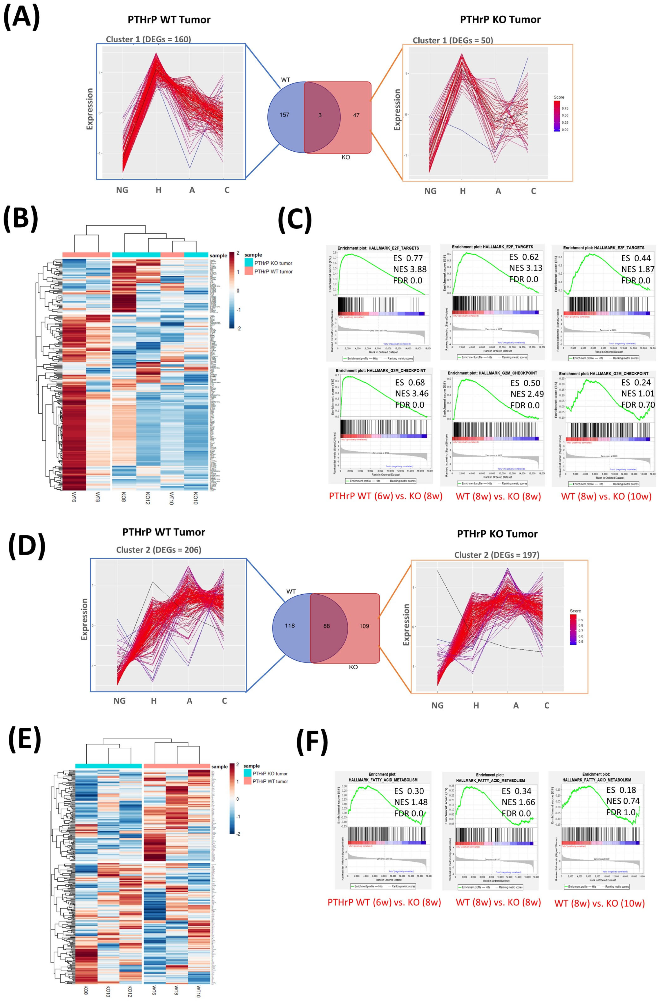 Cancers 15 03763 g004