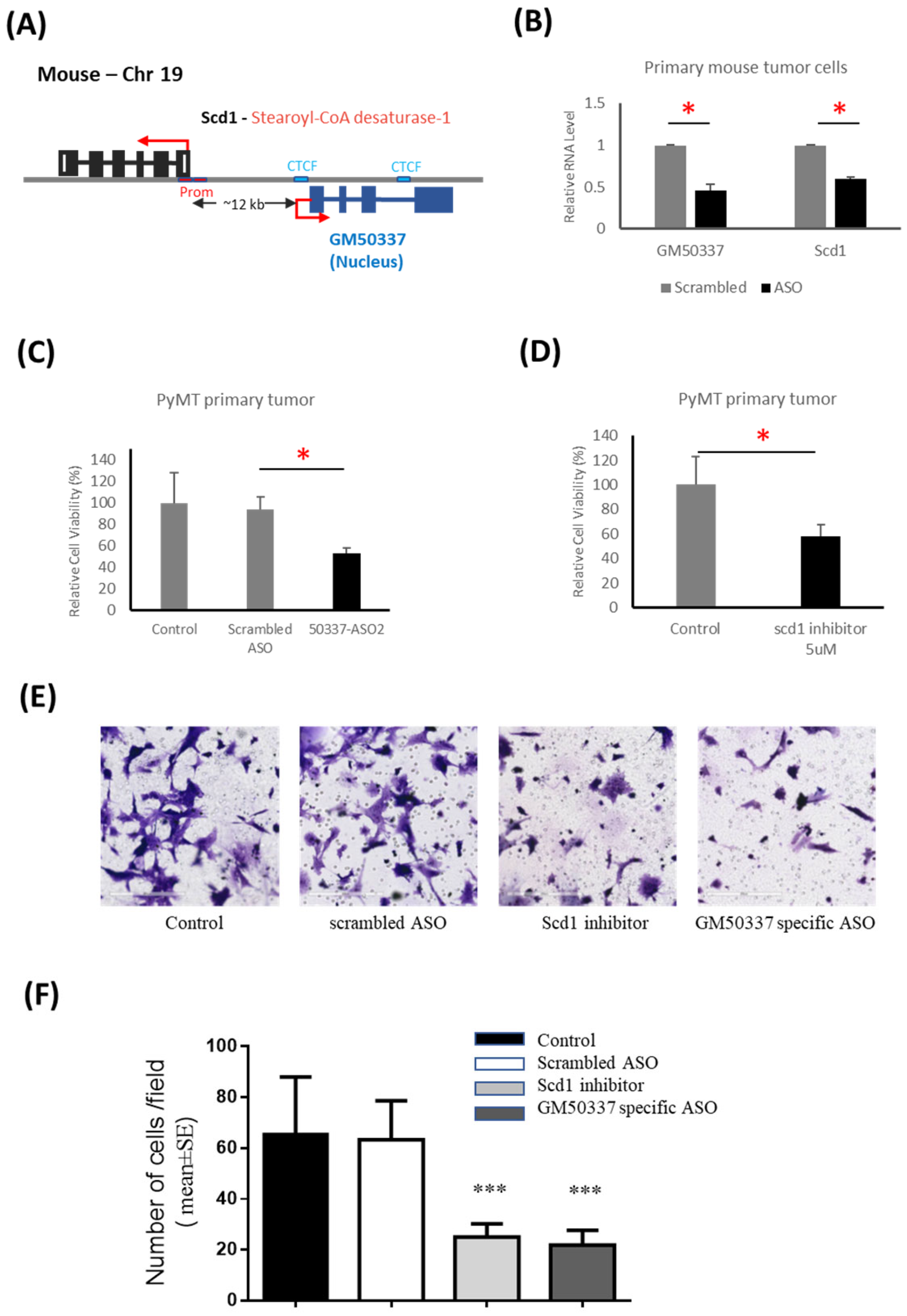 Cancers 15 03763 g005