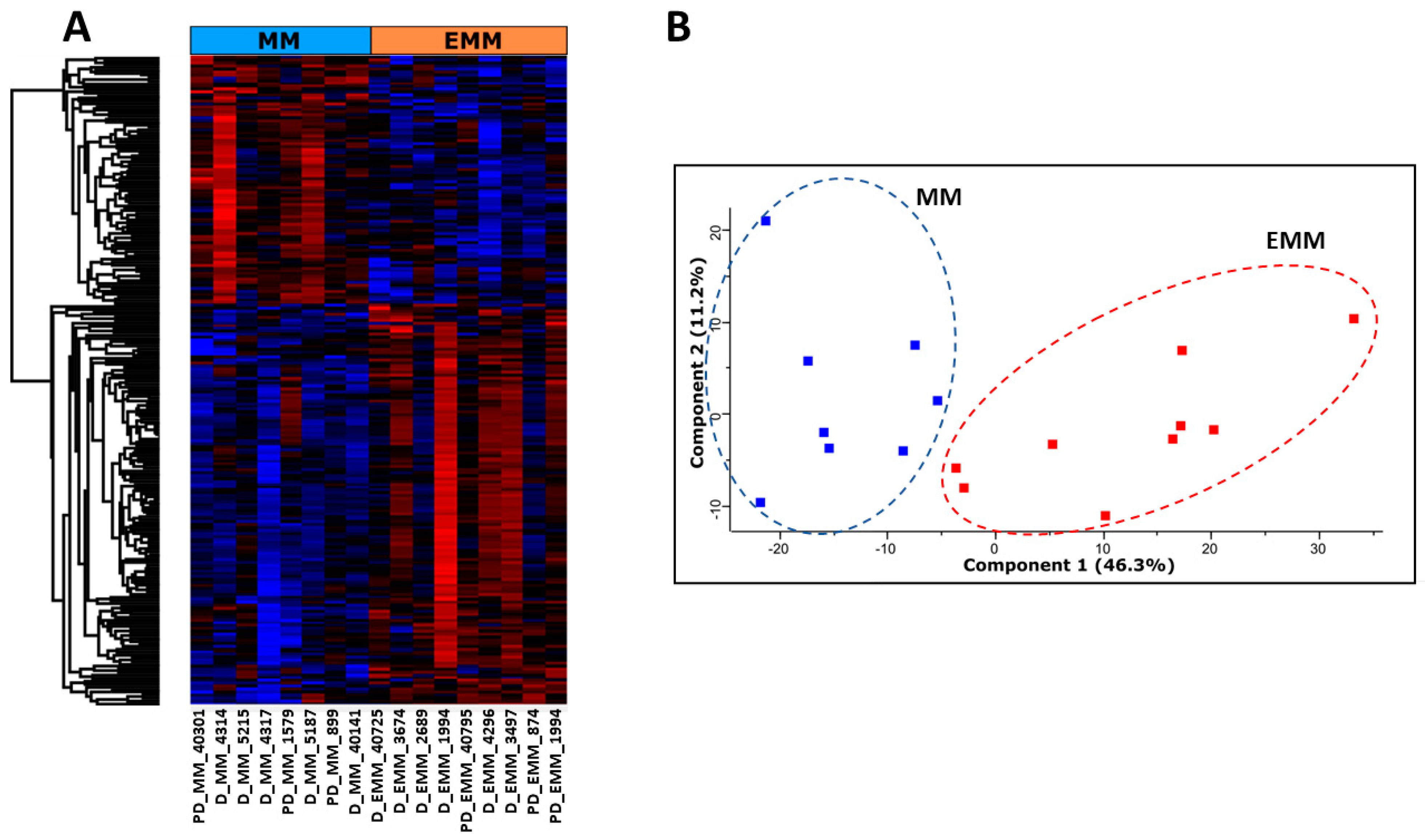 Cancers 15 03764 g001 Cancers 15 03764 g001