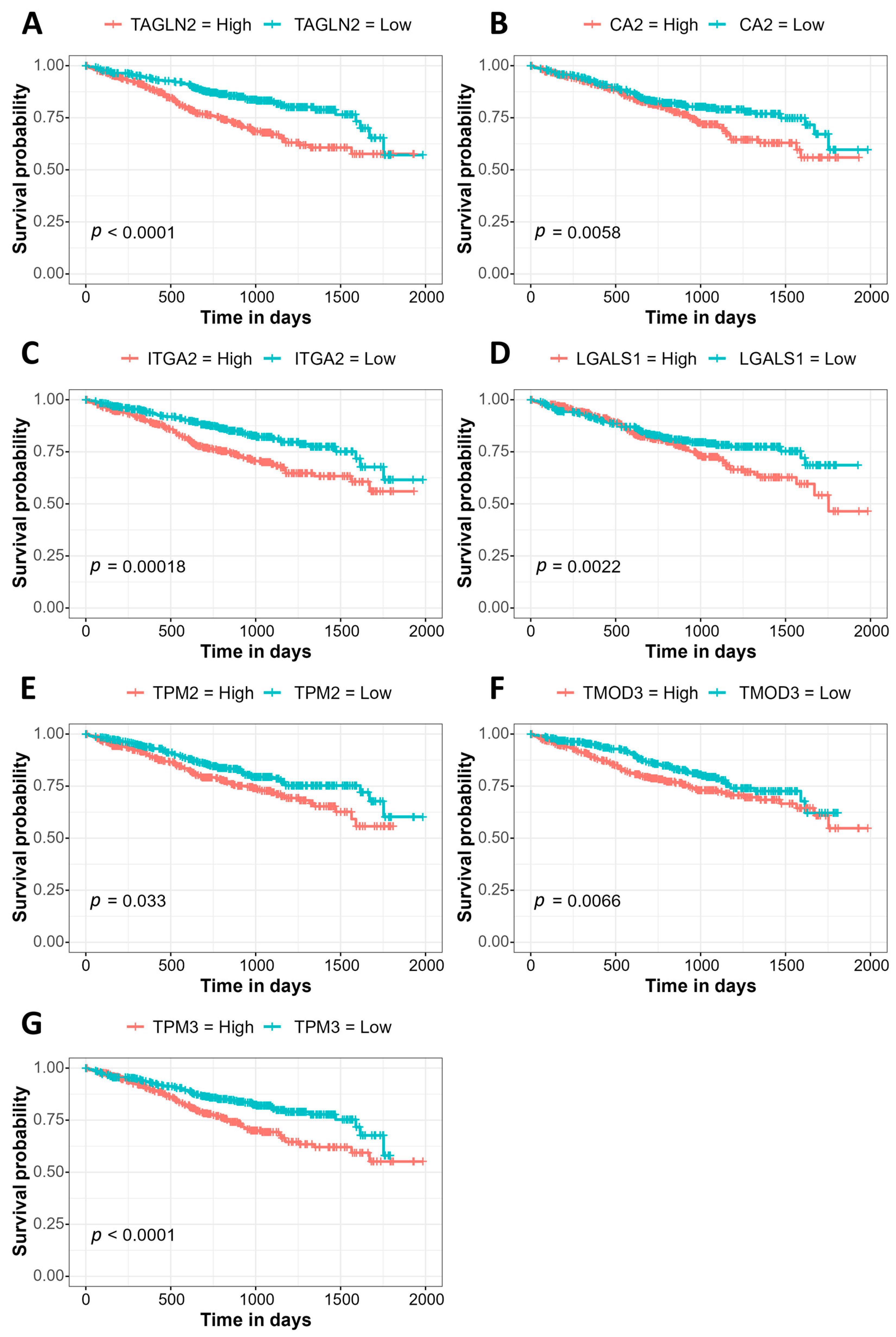 Cancers 15 03764 g003 Cancers 15 03764 g003