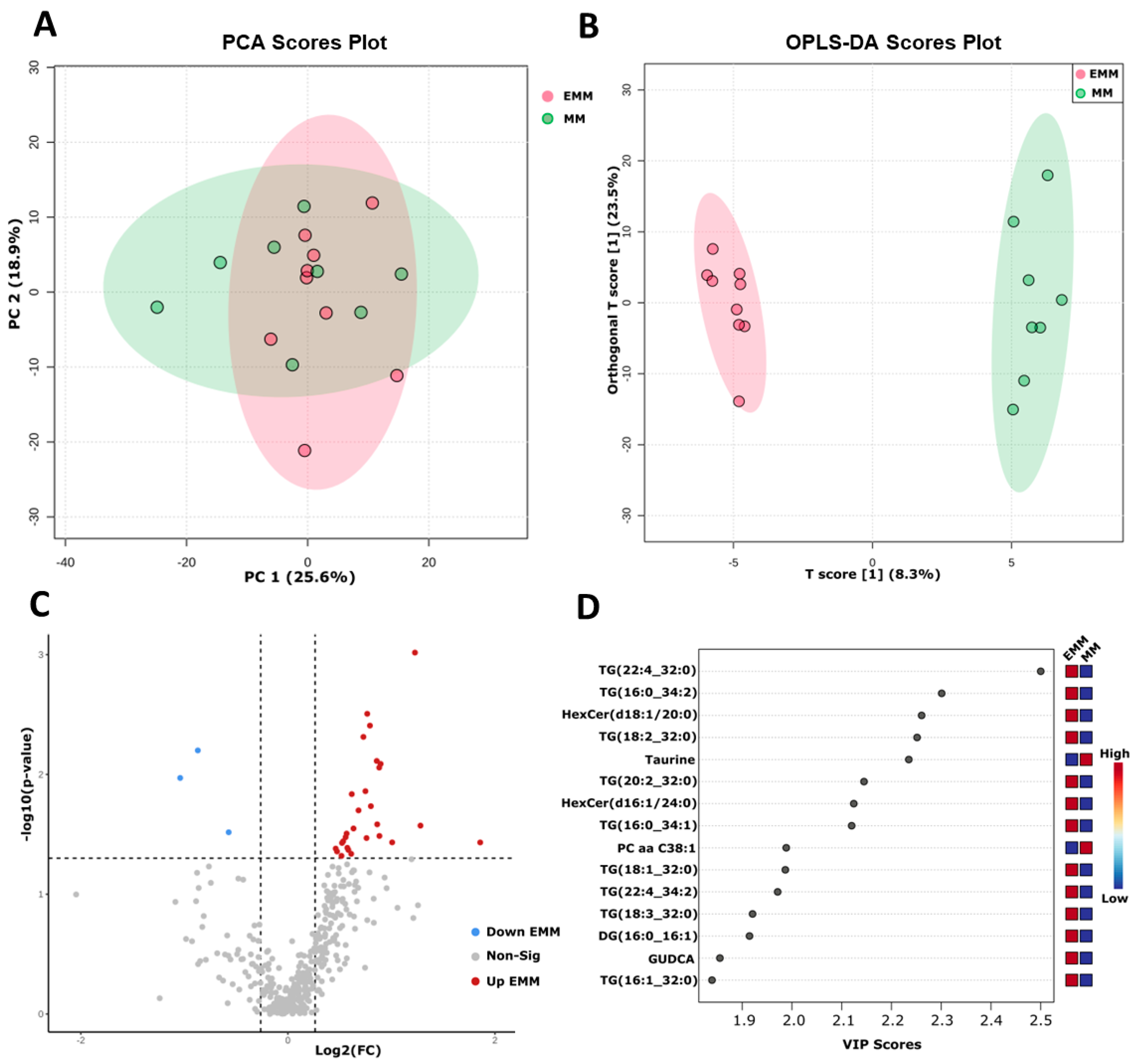 Cancers 15 03764 g008 Cancers 15 03764 g008
