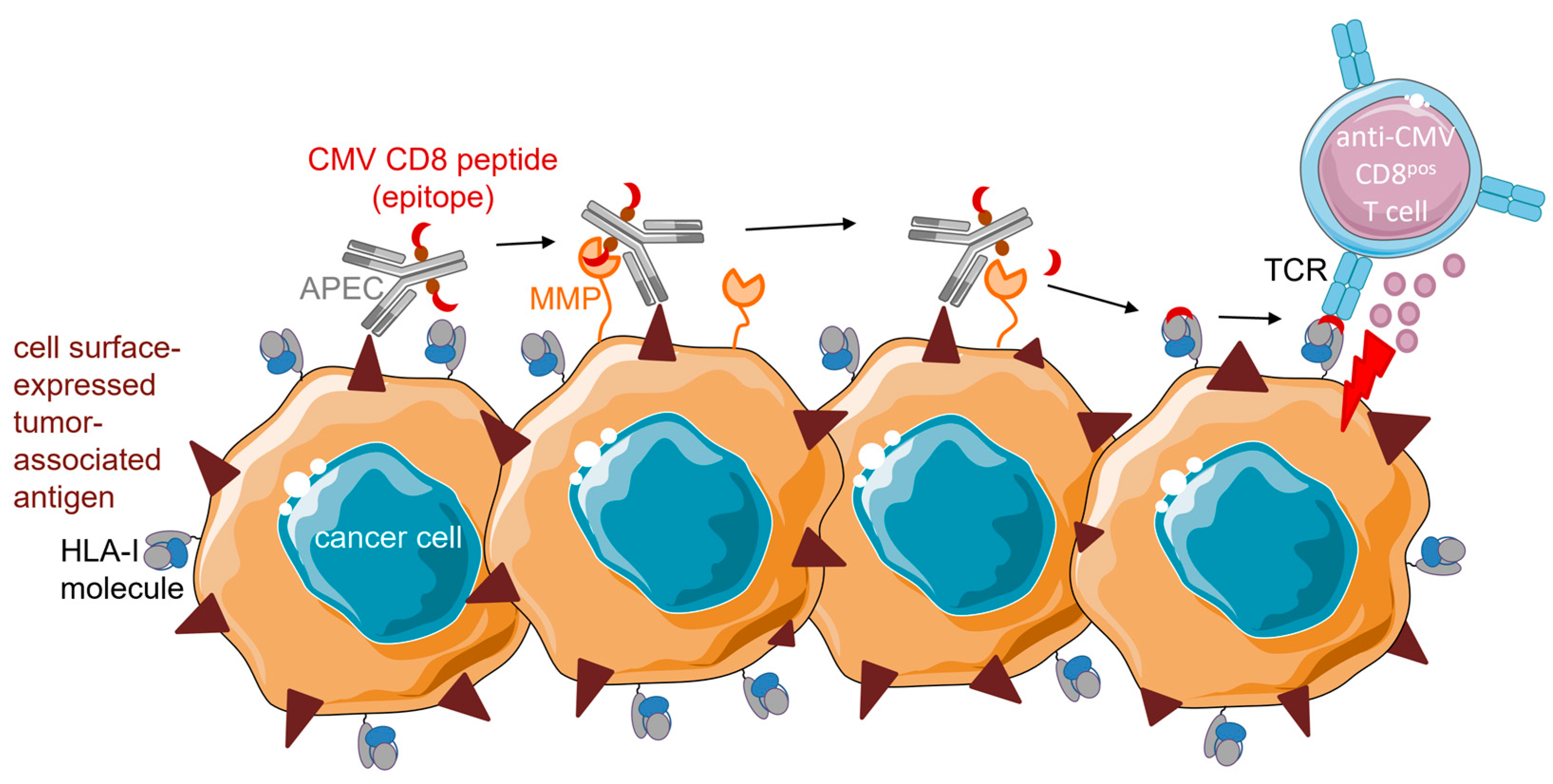 Cancers 15 03767 g002 Cancers 15 03767 g002