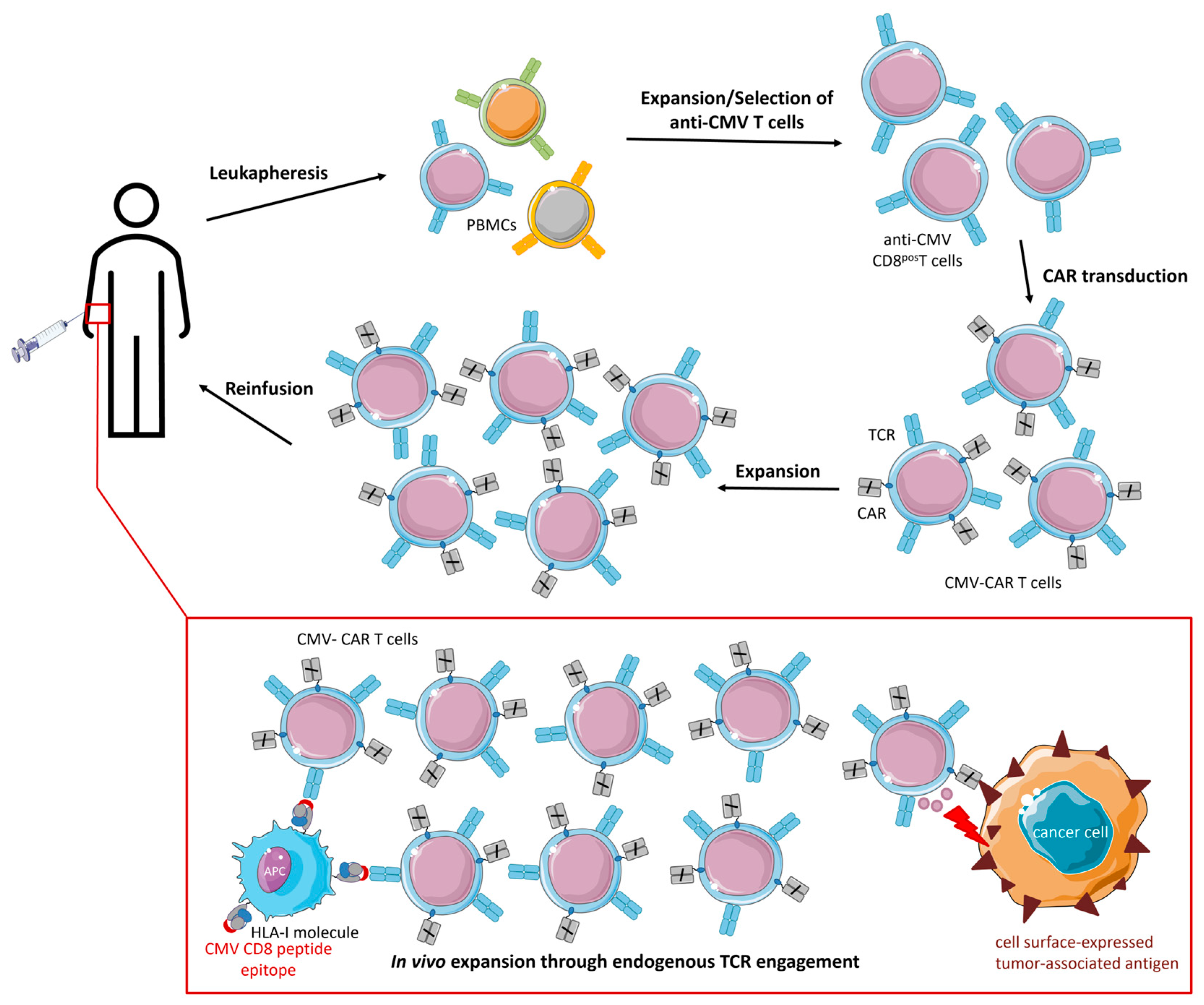 Cancers 15 03767 g005 Cancers 15 03767 g005