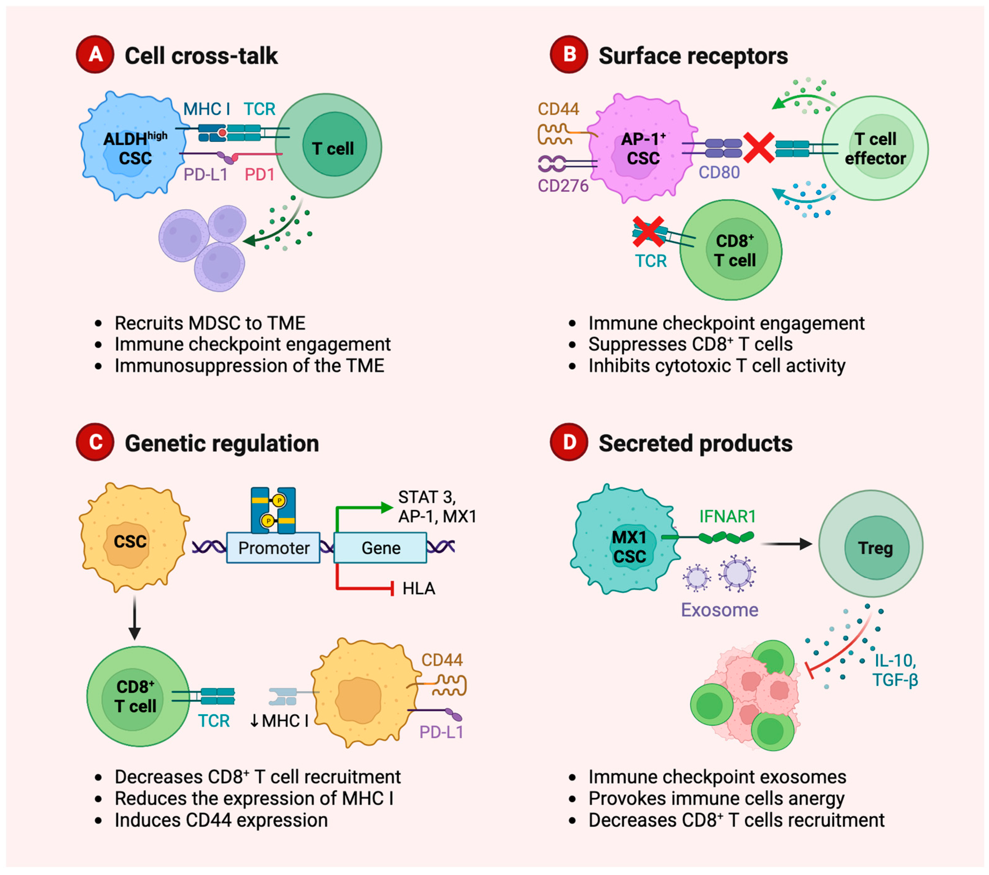 Cancers 15 03779 g002