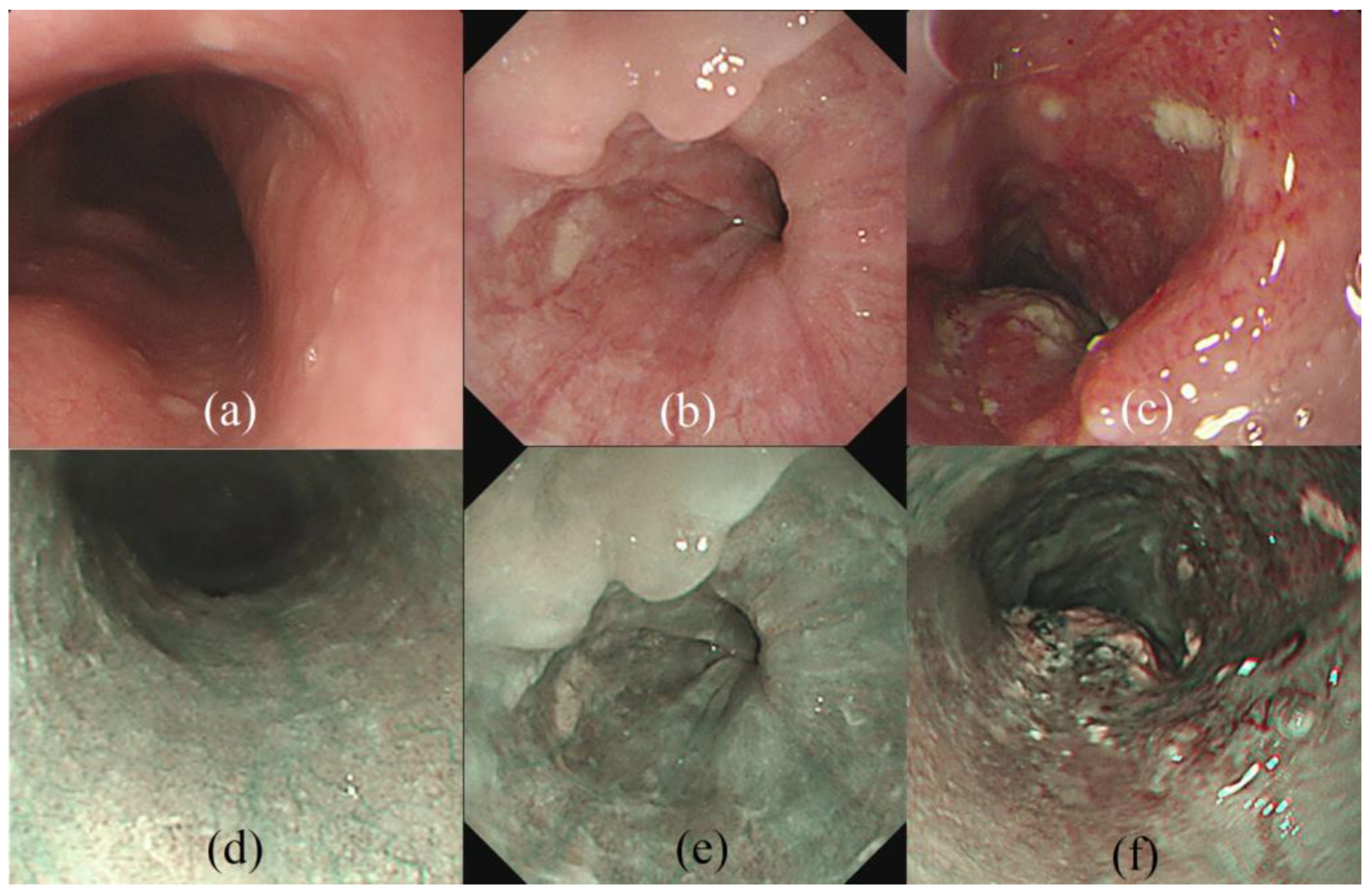 Cancers 15 03783 g001