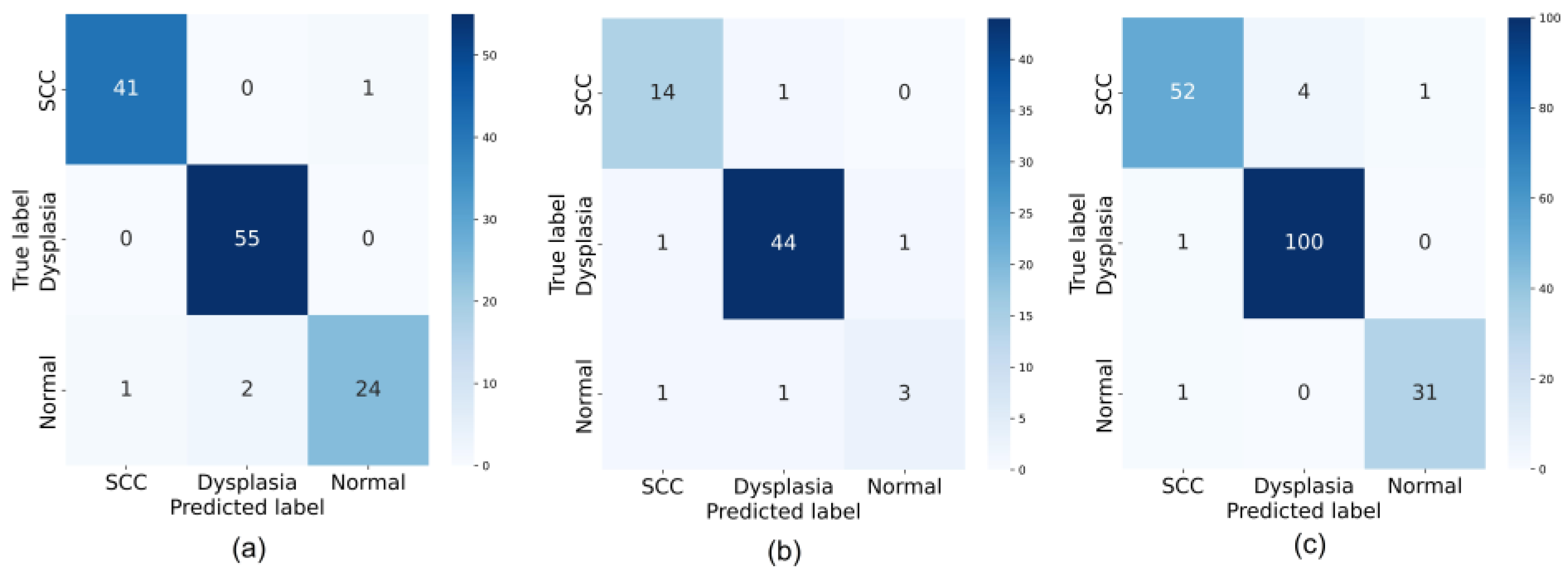 Cancers 15 03783 g003