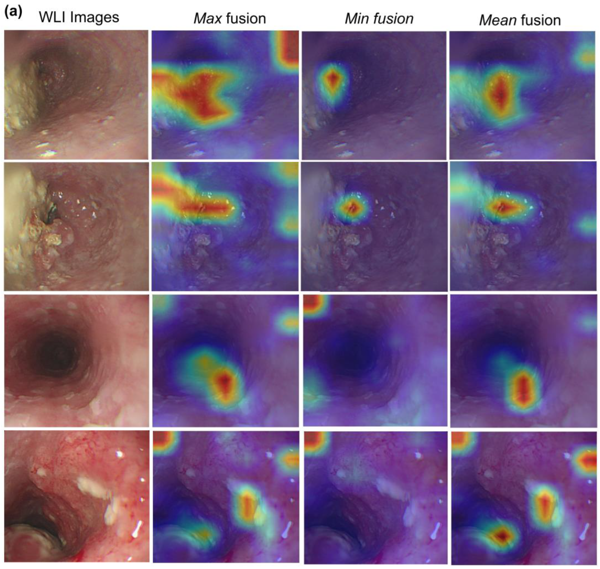 Cancers 15 03783 g005a