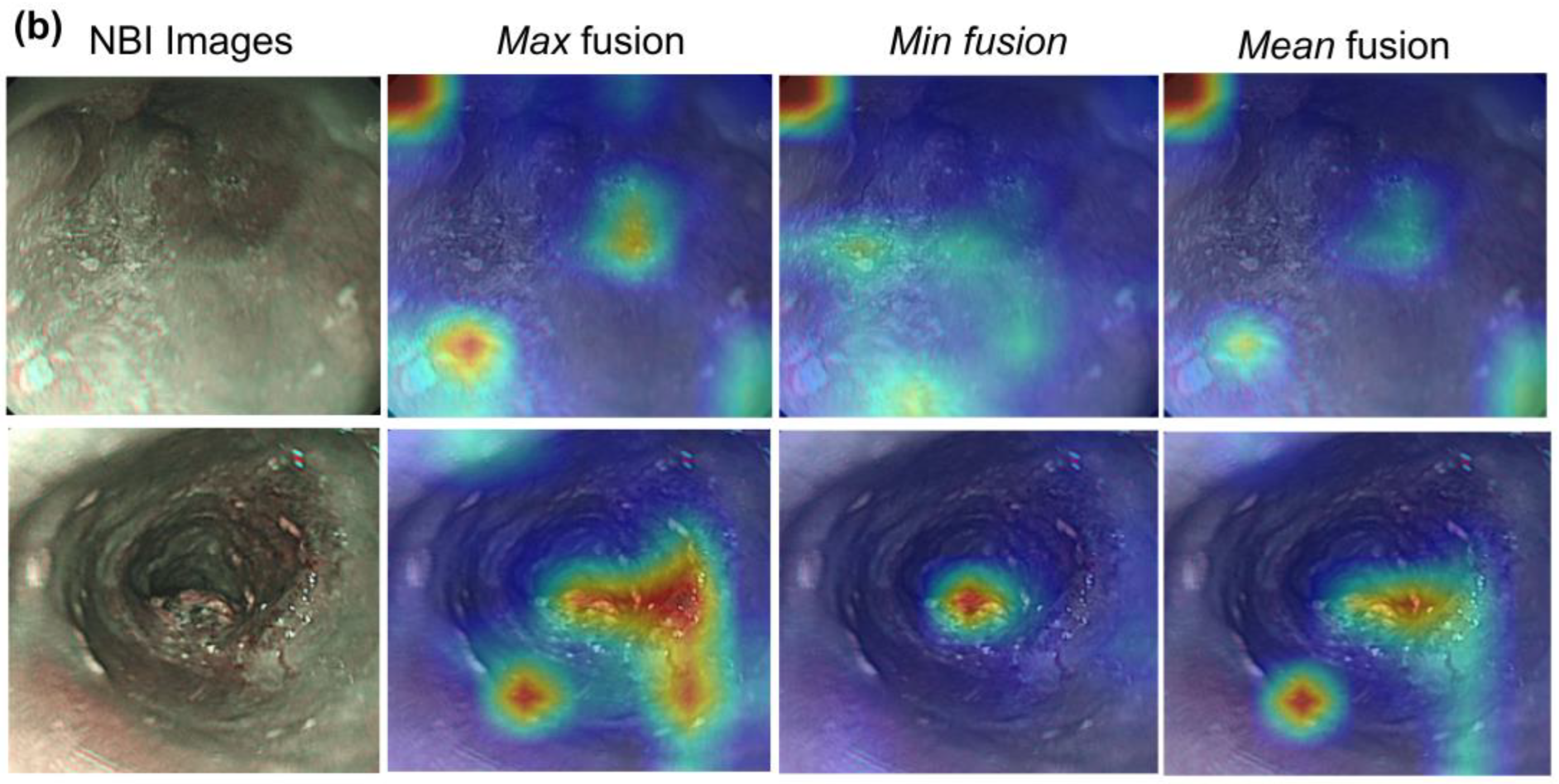 Cancers 15 03783 g005b