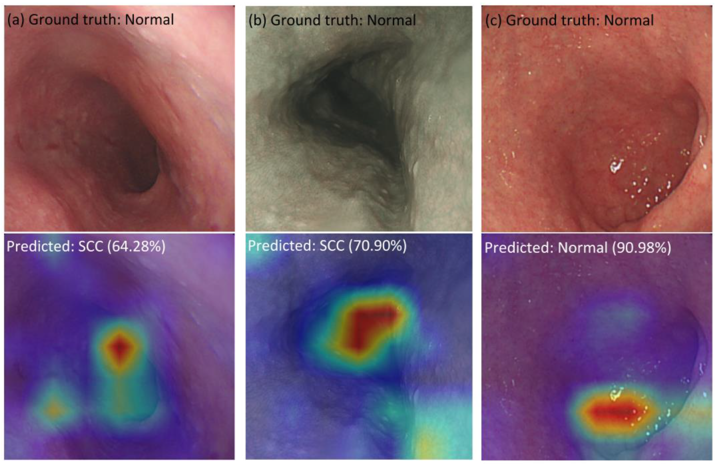 Cancers 15 03783 g006