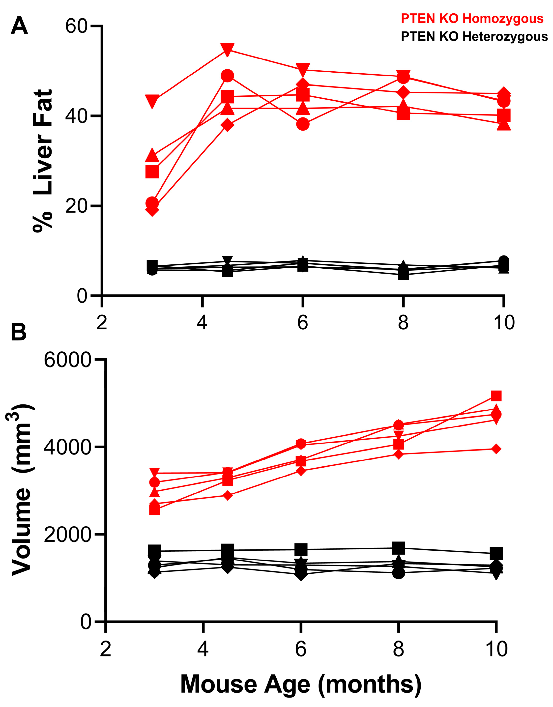 Cancers 15 03787 g001 Cancers 15 03787 g001