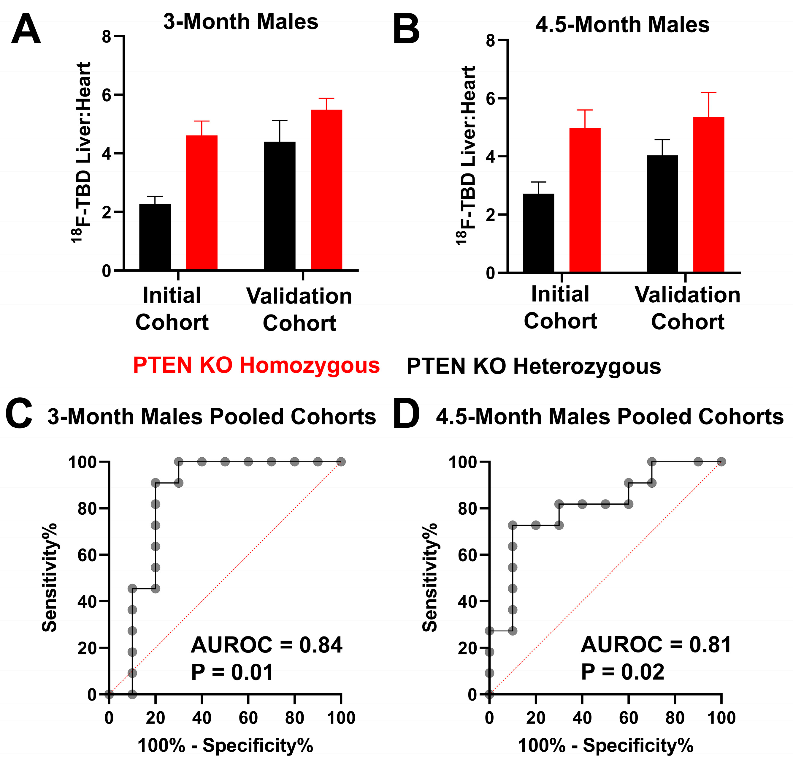 Cancers 15 03787 g003 Cancers 15 03787 g003