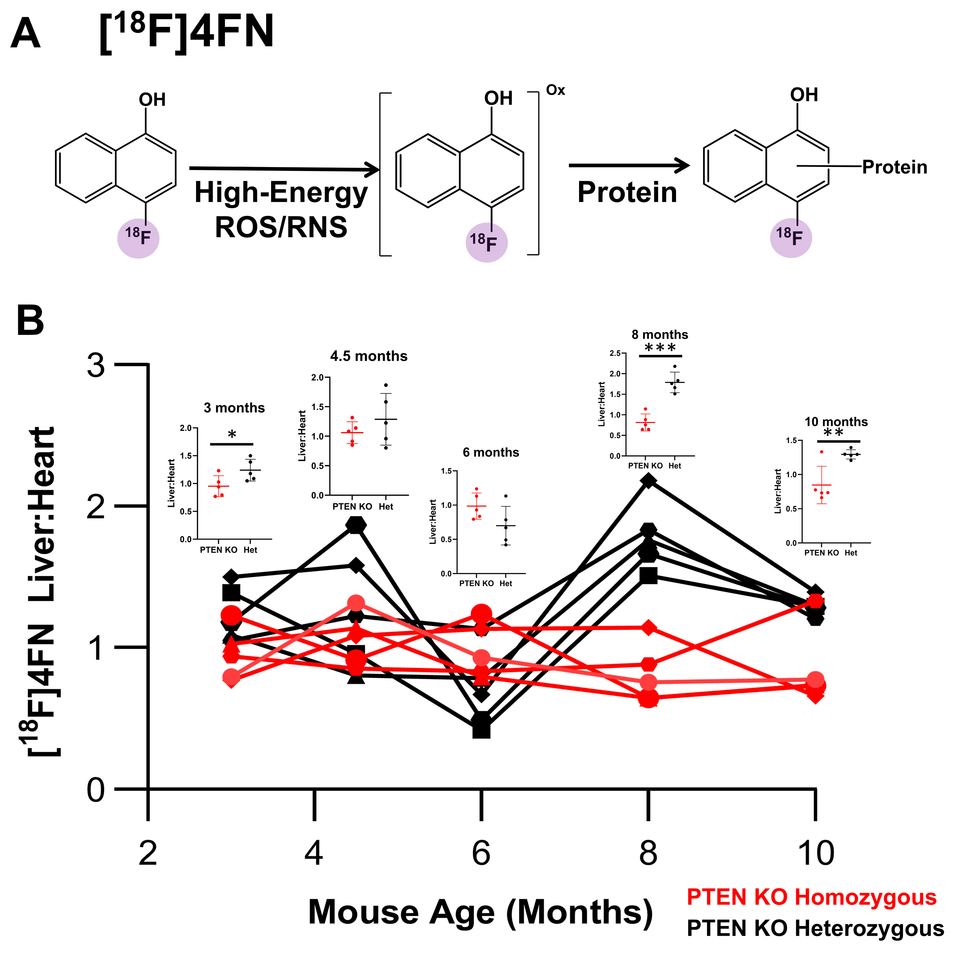 Cancers 15 03787 g004 Cancers 15 03787 g004