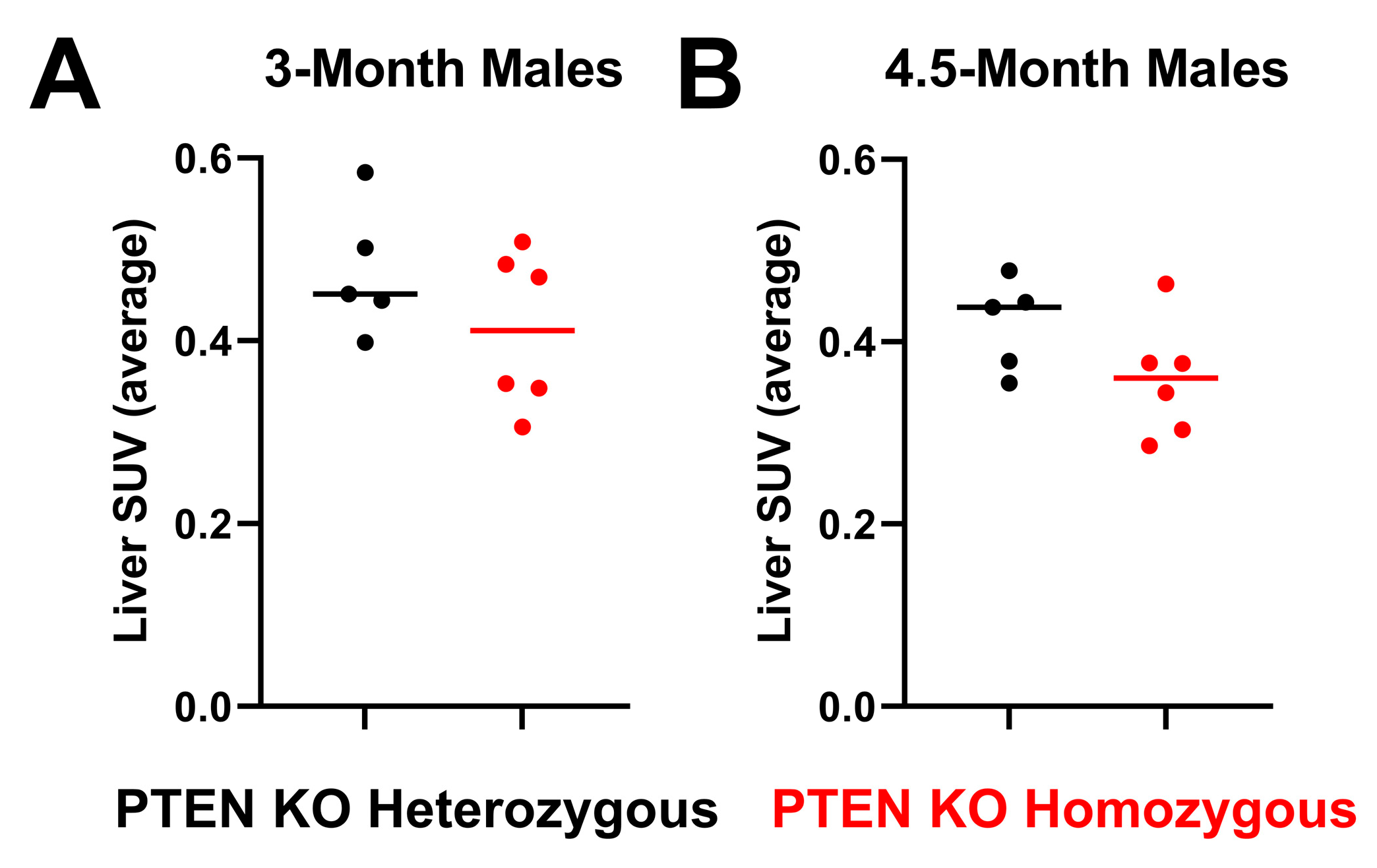 Cancers 15 03787 g005 Cancers 15 03787 g005