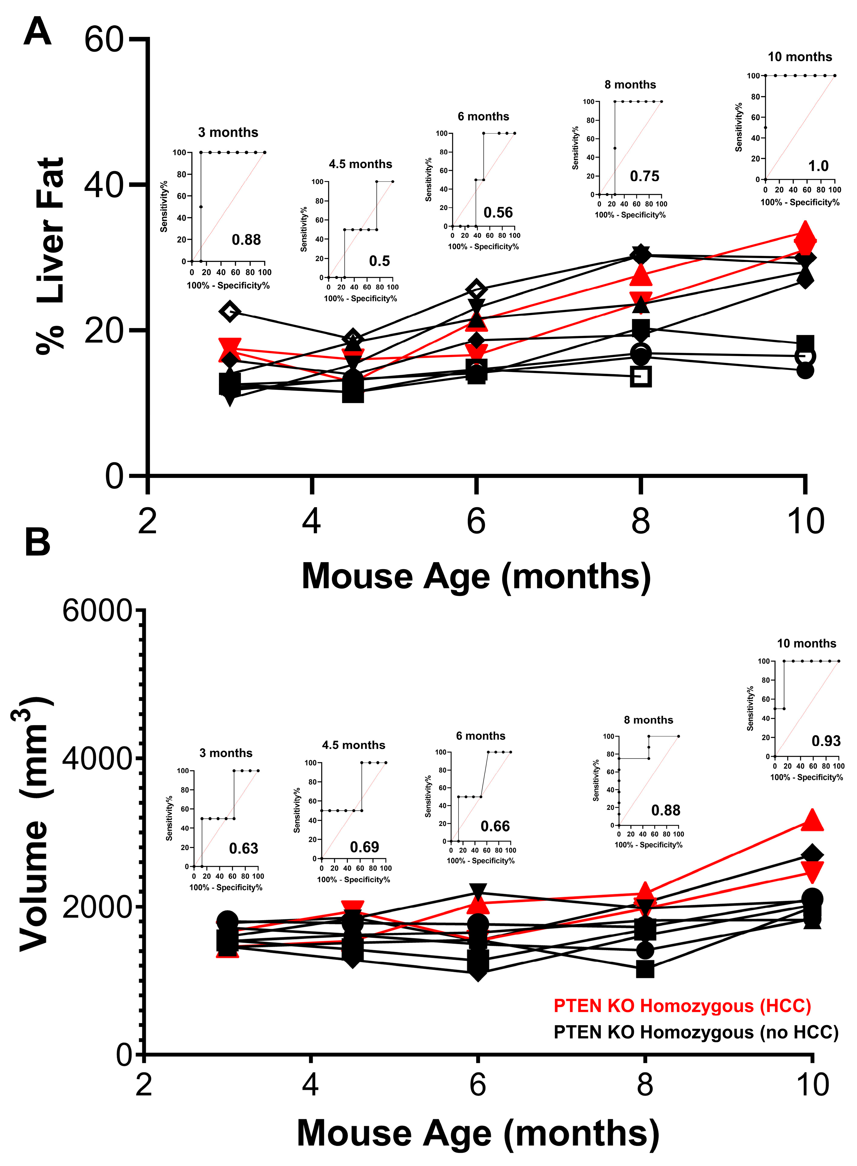 Cancers 15 03787 g006 Cancers 15 03787 g006