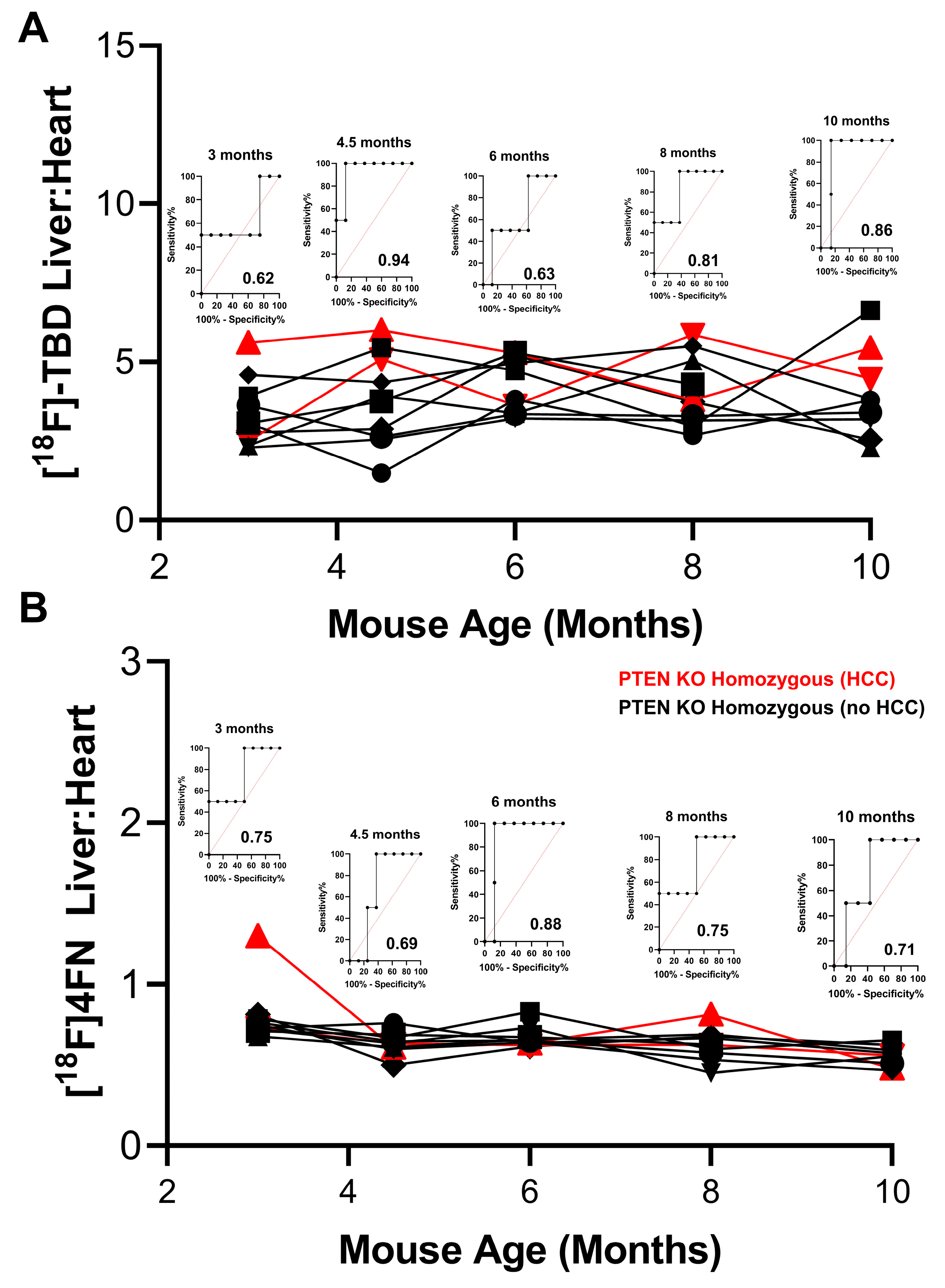 Cancers 15 03787 g007 Cancers 15 03787 g007
