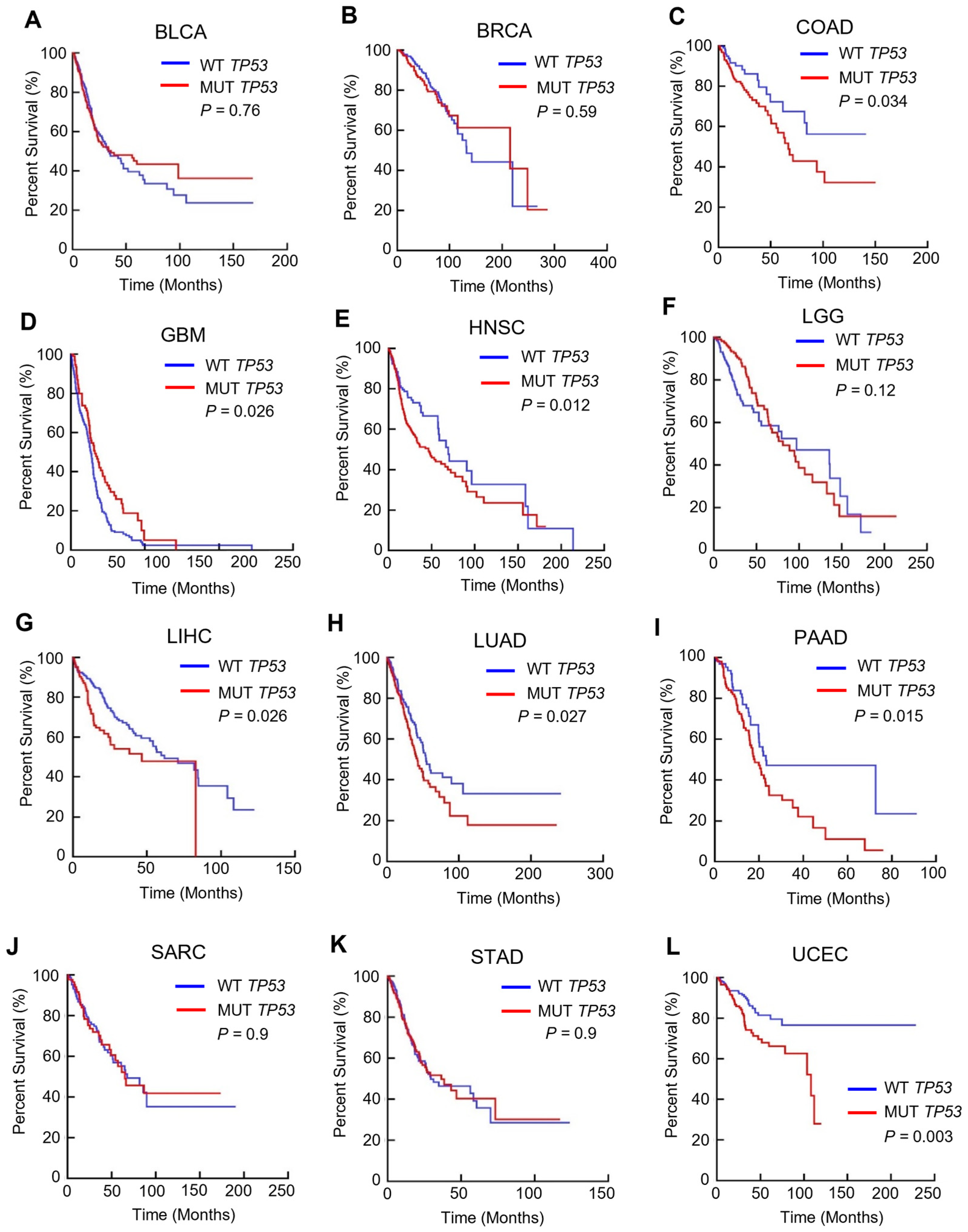 Cancers 15 03792 g001