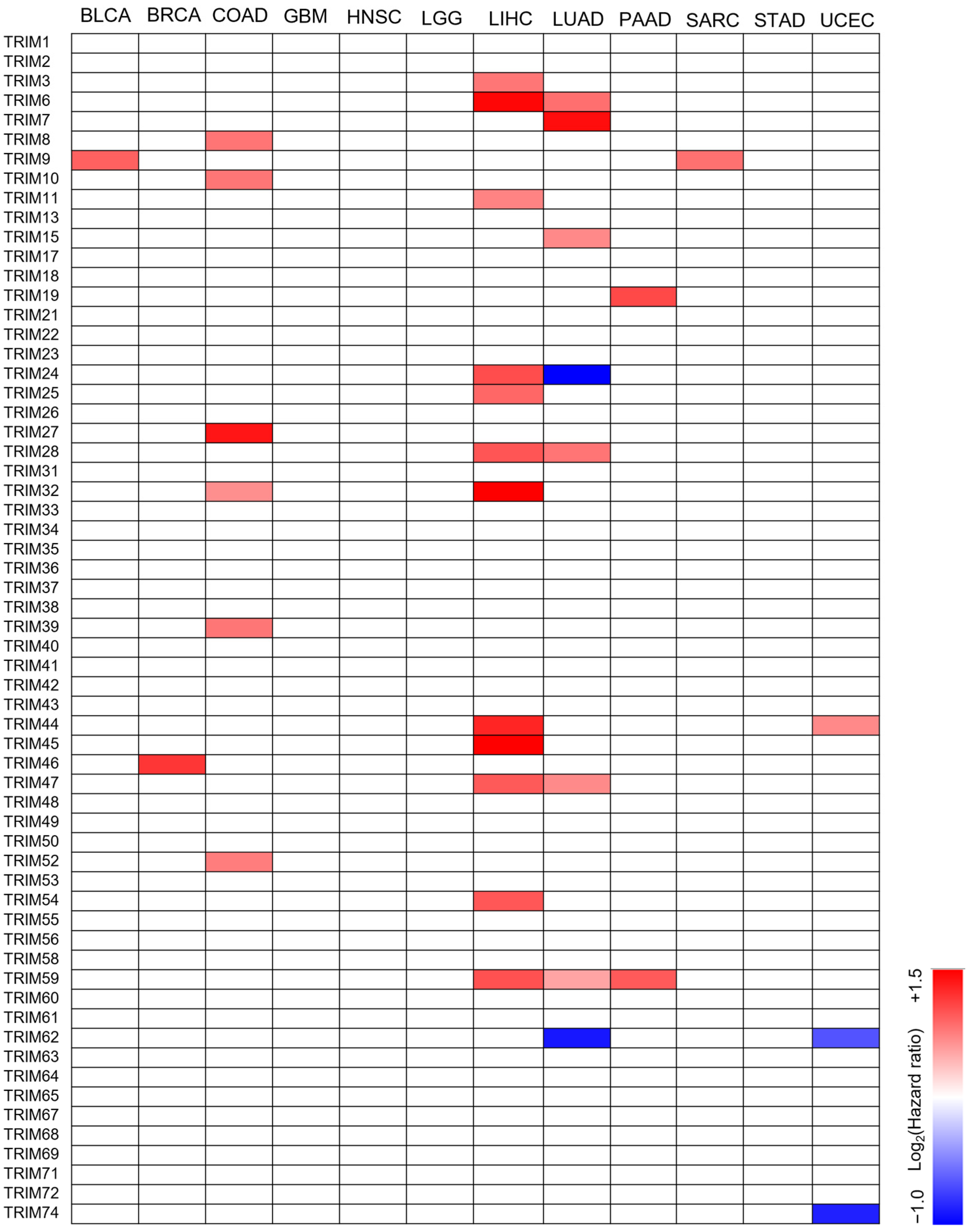 Cancers 15 03792 g002