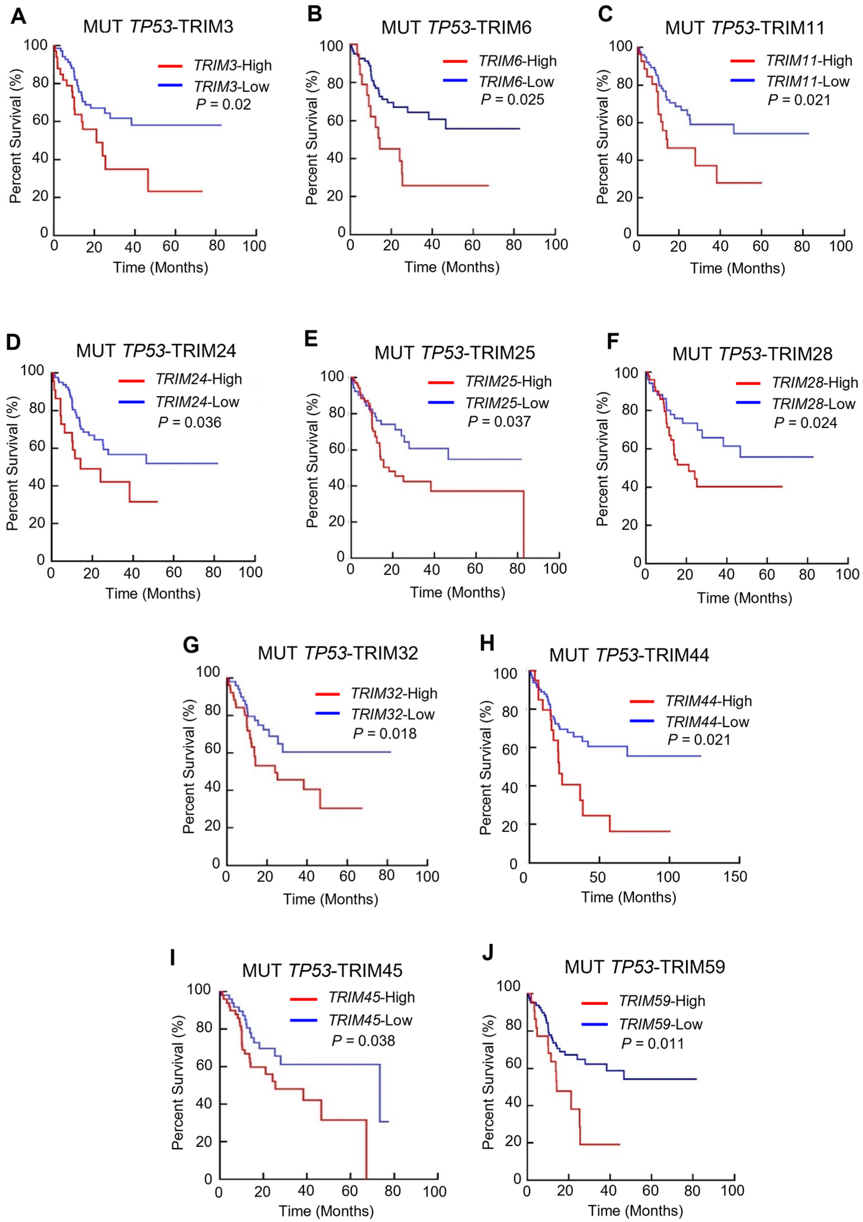 Cancers 15 03792 g003