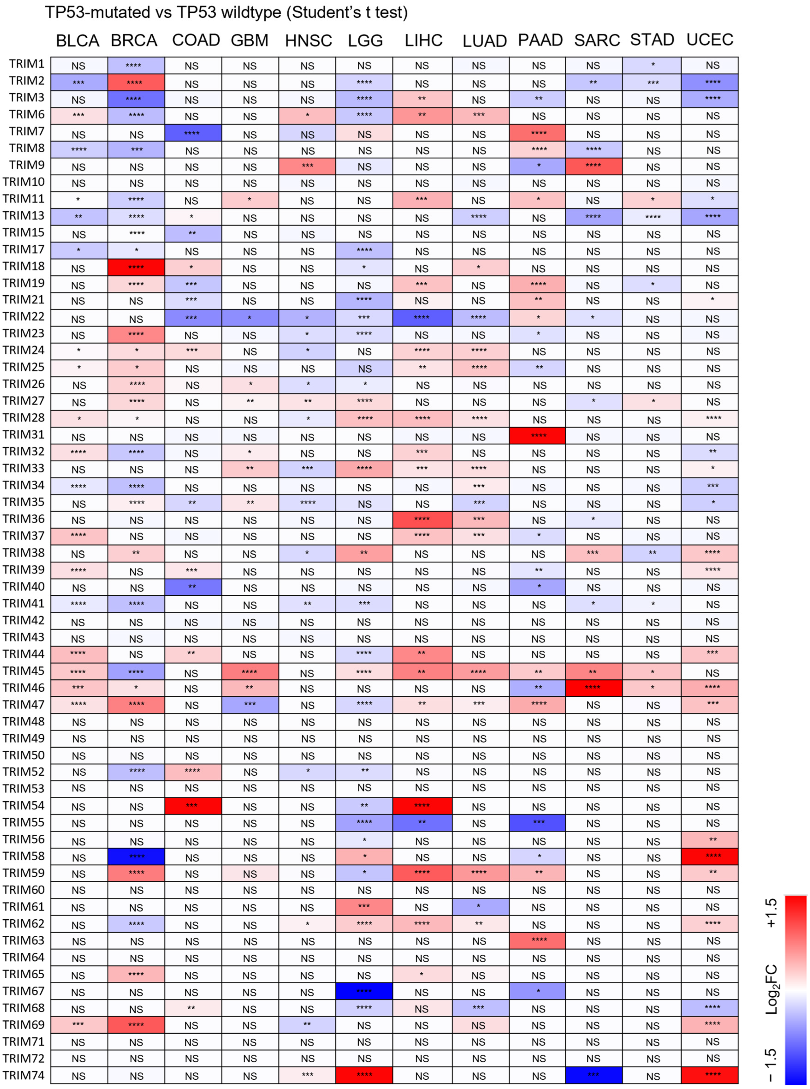 Cancers 15 03792 g004