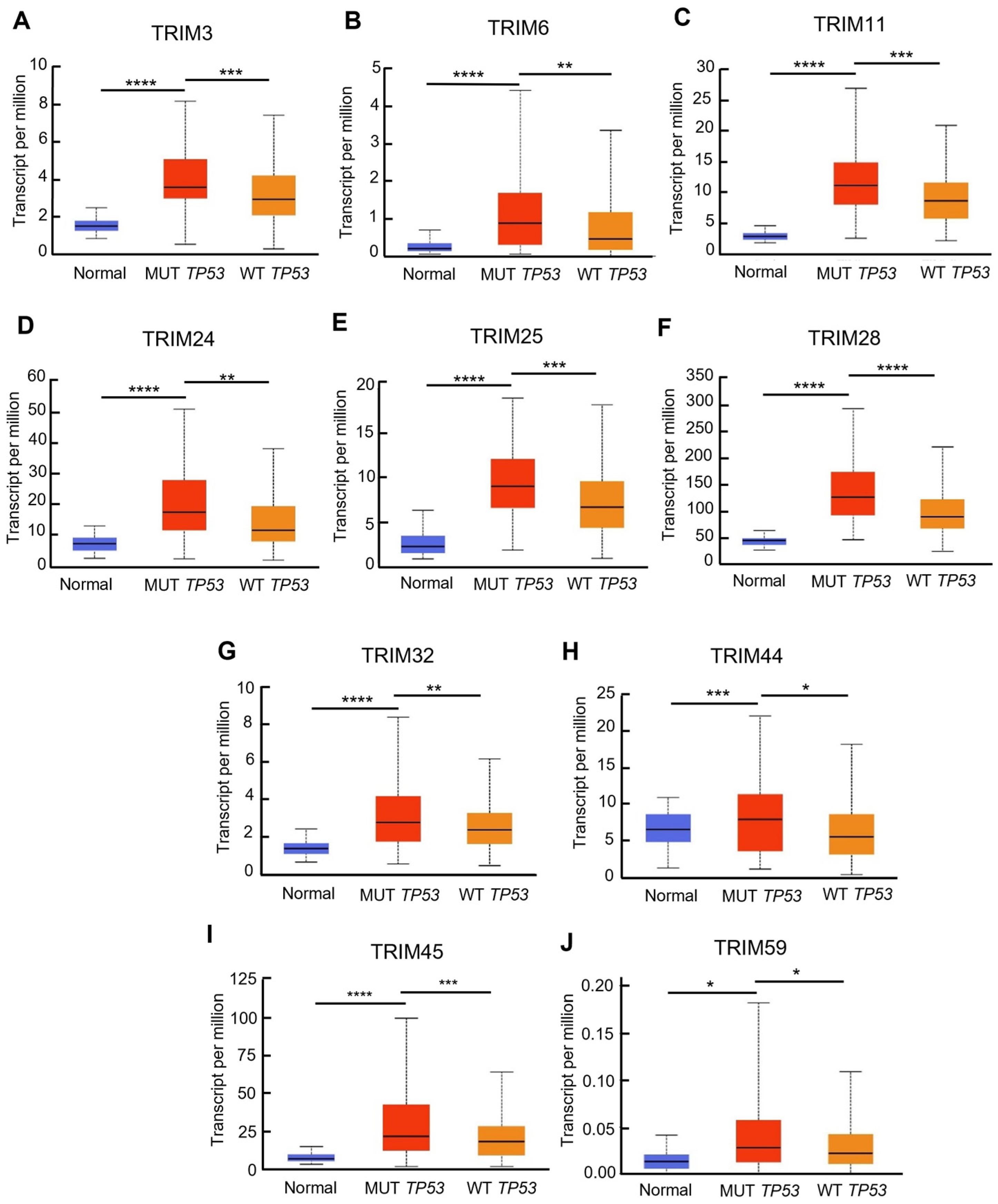 Cancers 15 03792 g005