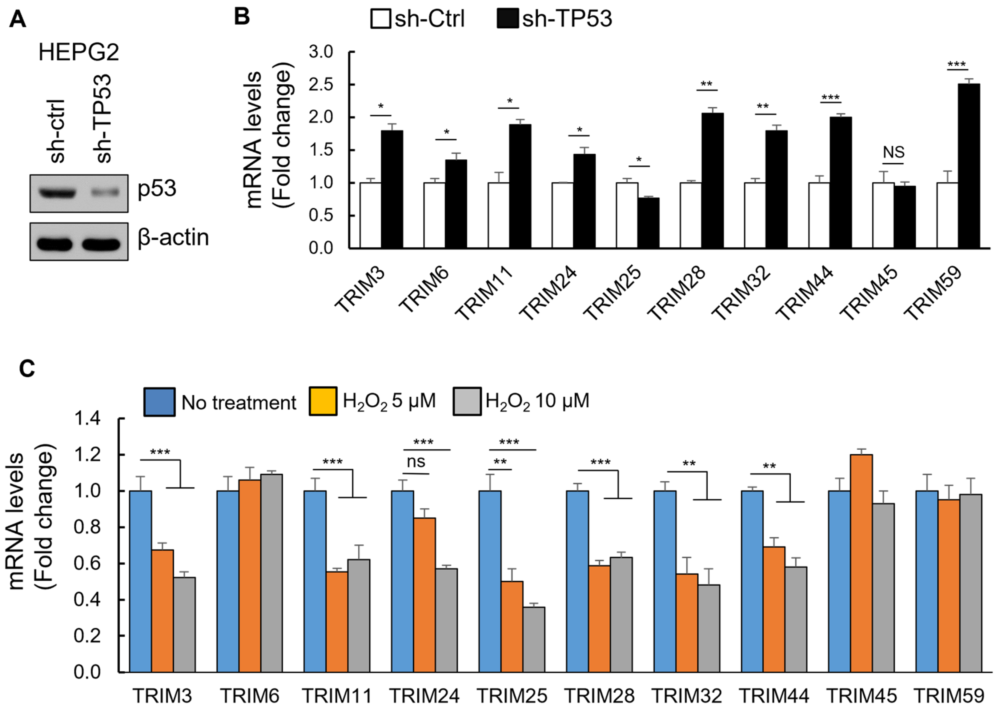 Cancers 15 03792 g006