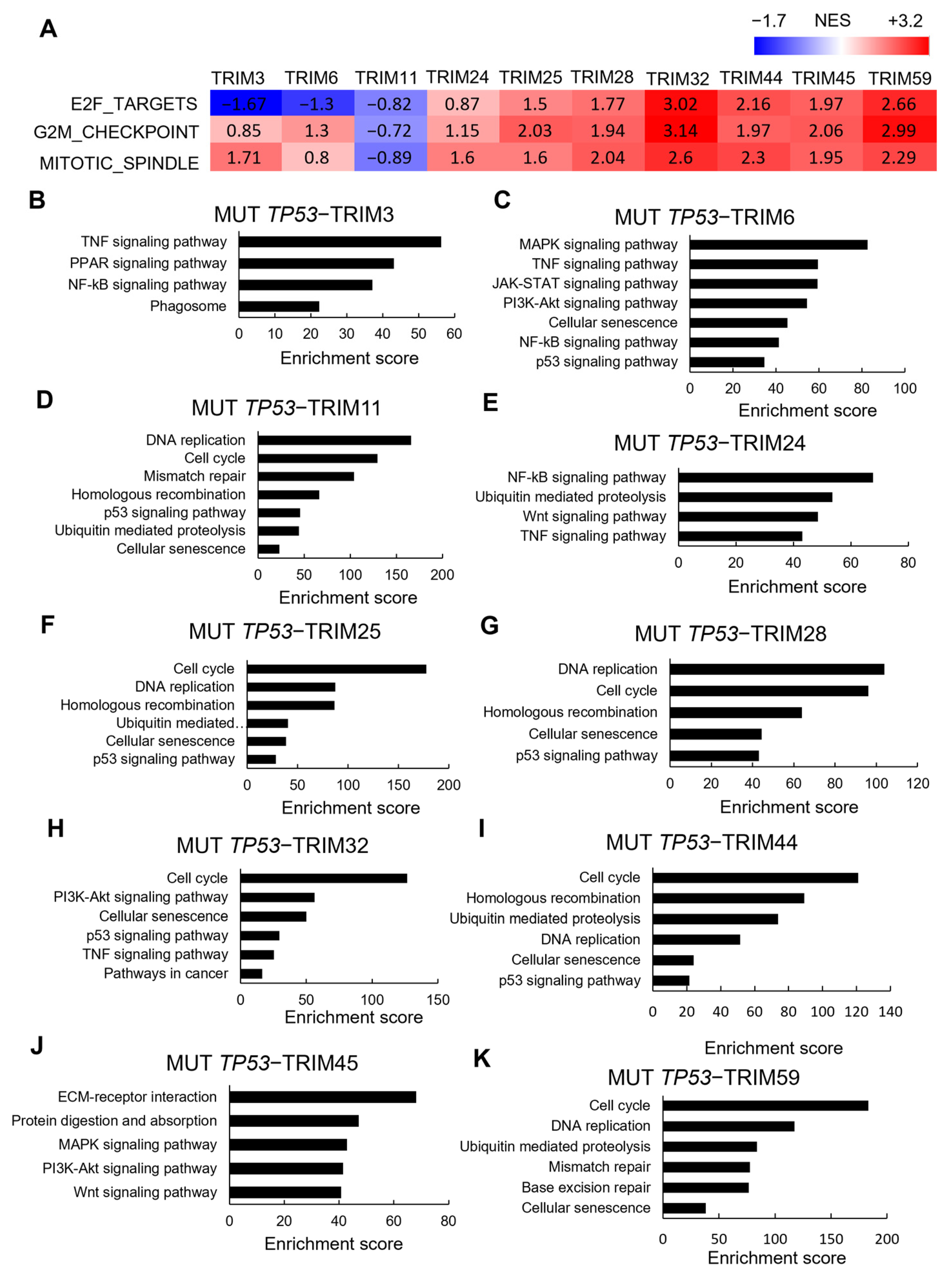 Cancers 15 03792 g007