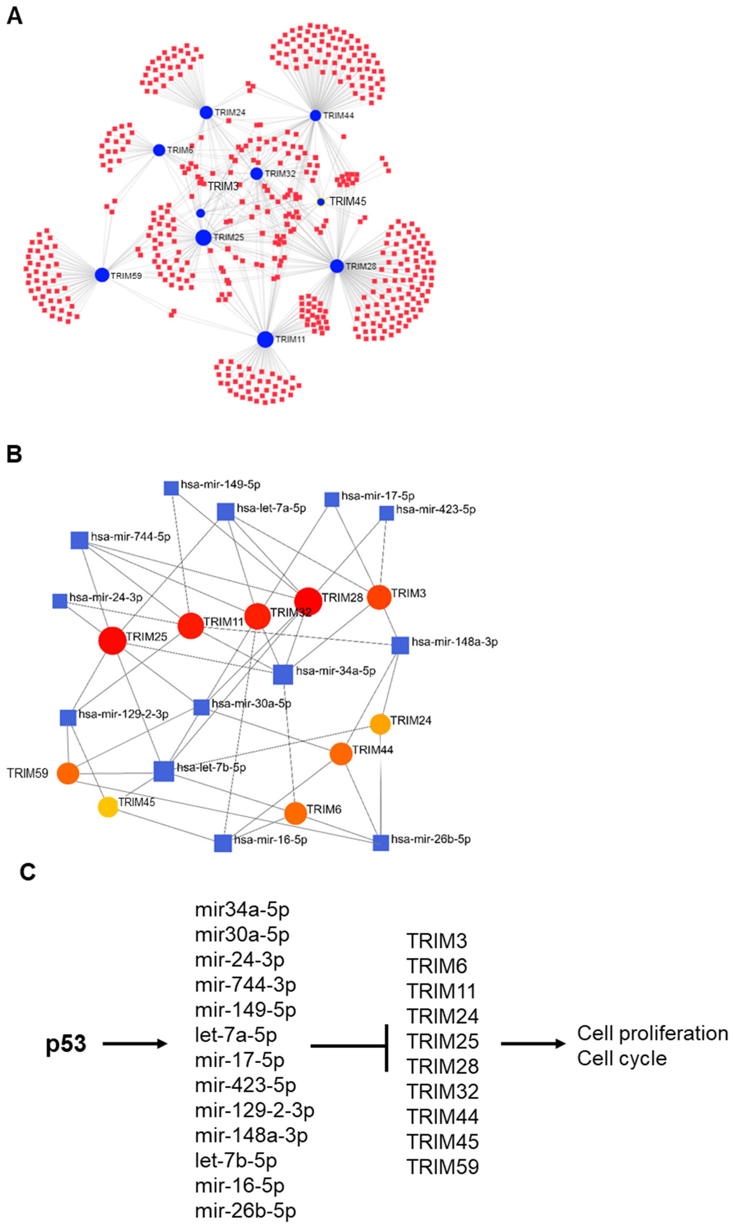 Cancers 15 03792 g009
