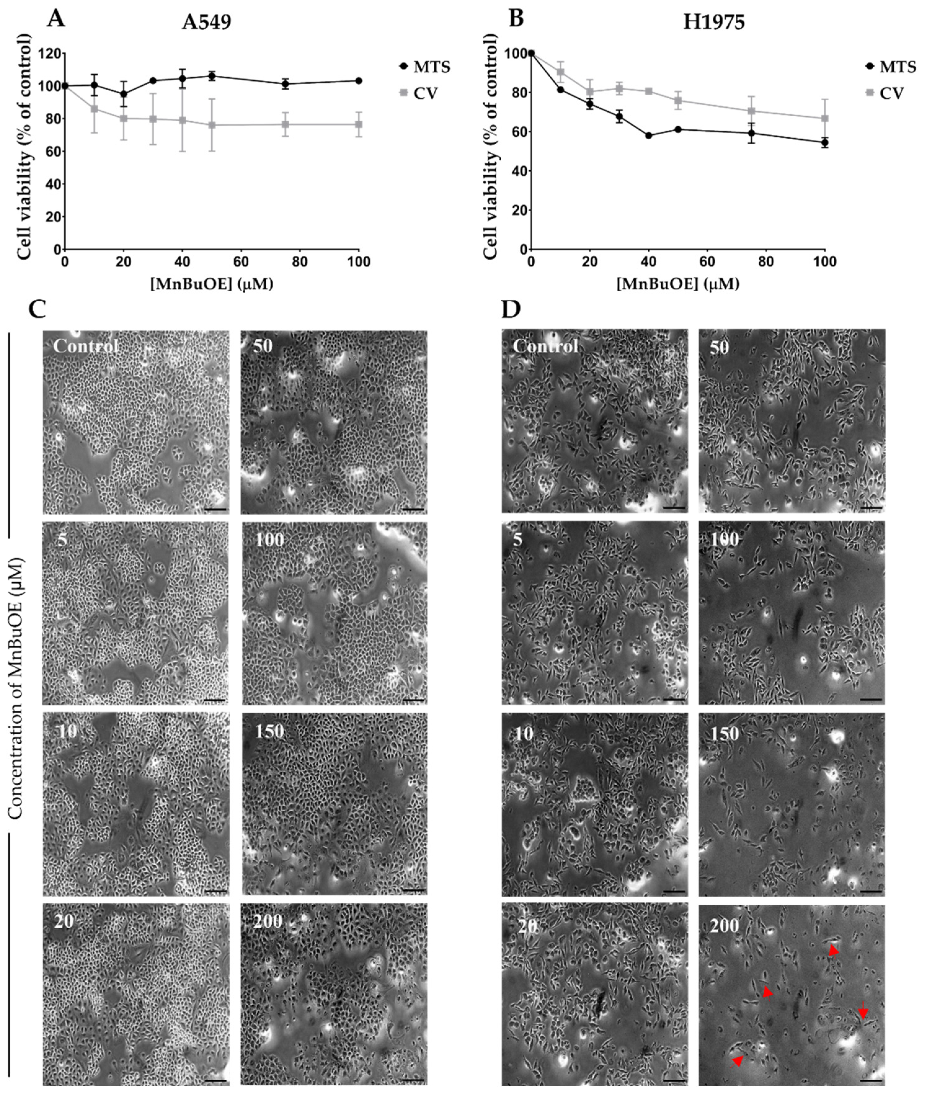 Cancers 15 03814 g002