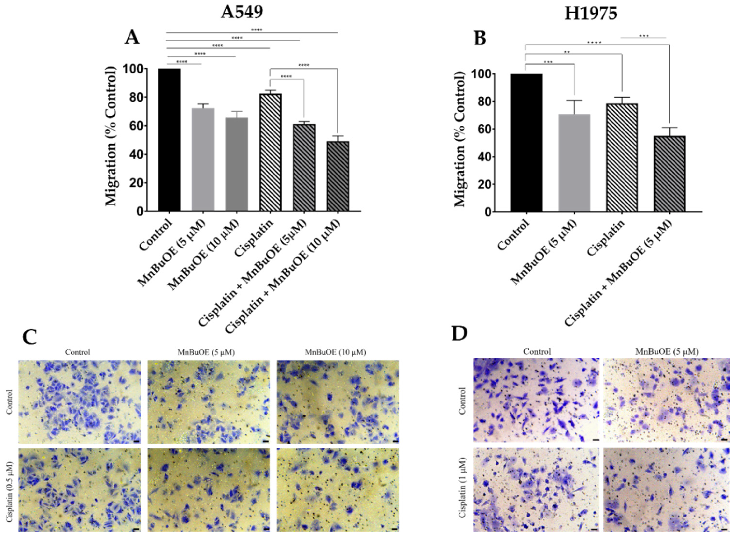 Cancers 15 03814 g007
