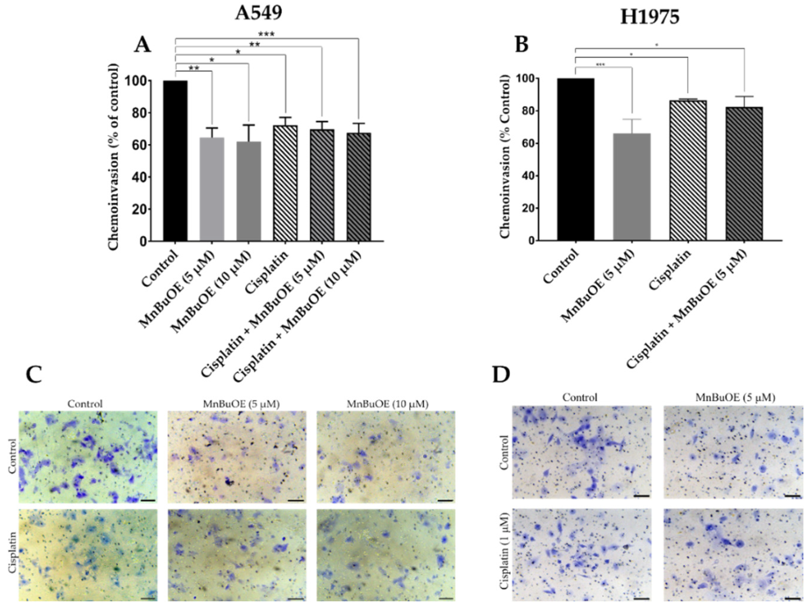 Cancers 15 03814 g008