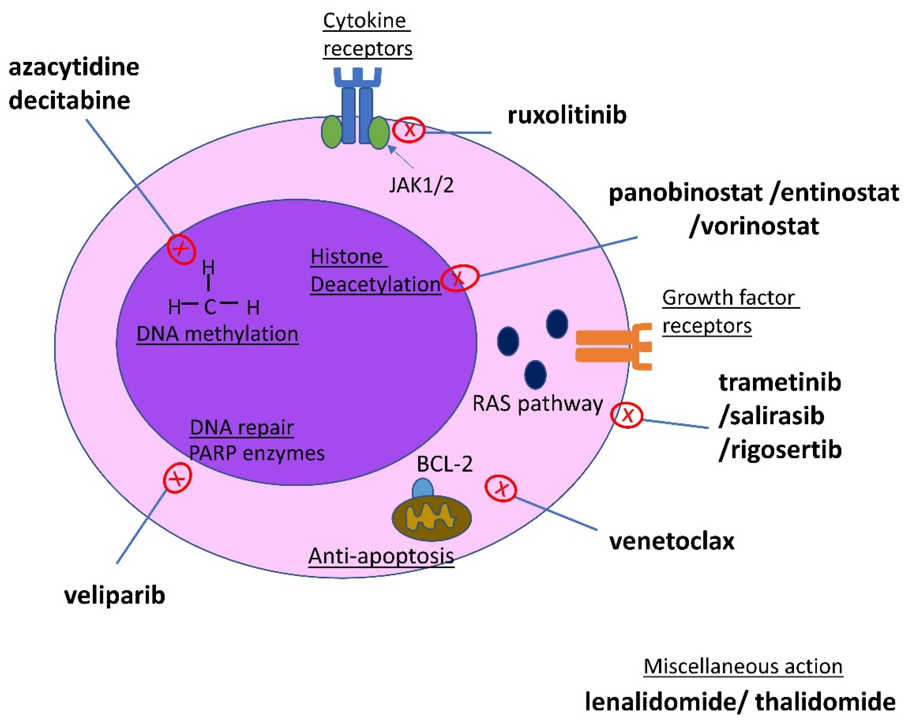Cancers 15 03815 g001