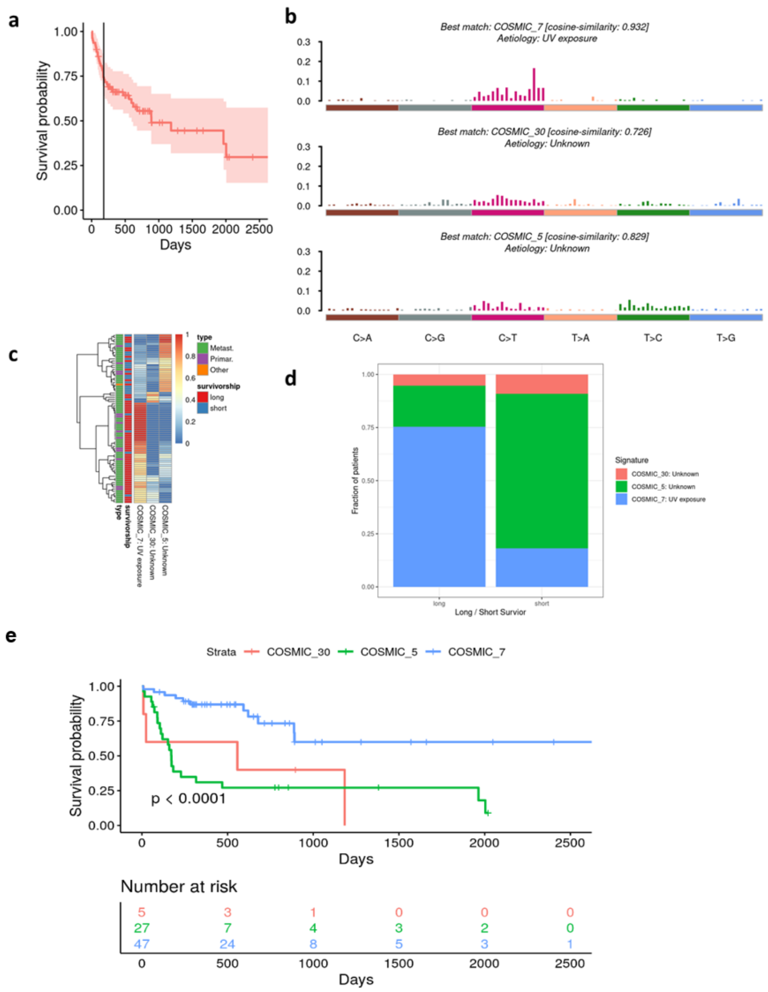Cancers 15 03818 g004