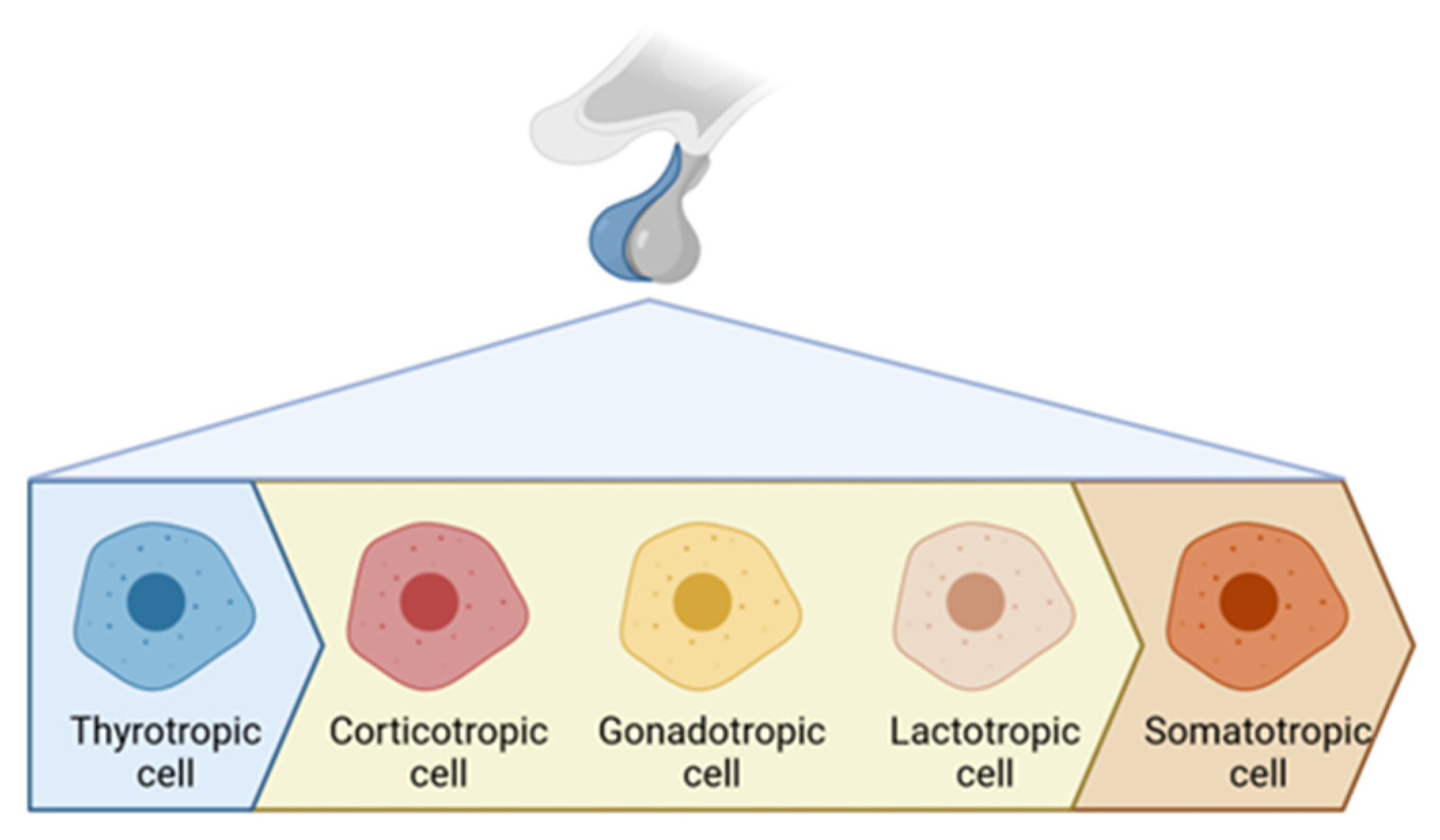Cancers 15 03820 g004 Cancers 15 03820 g004