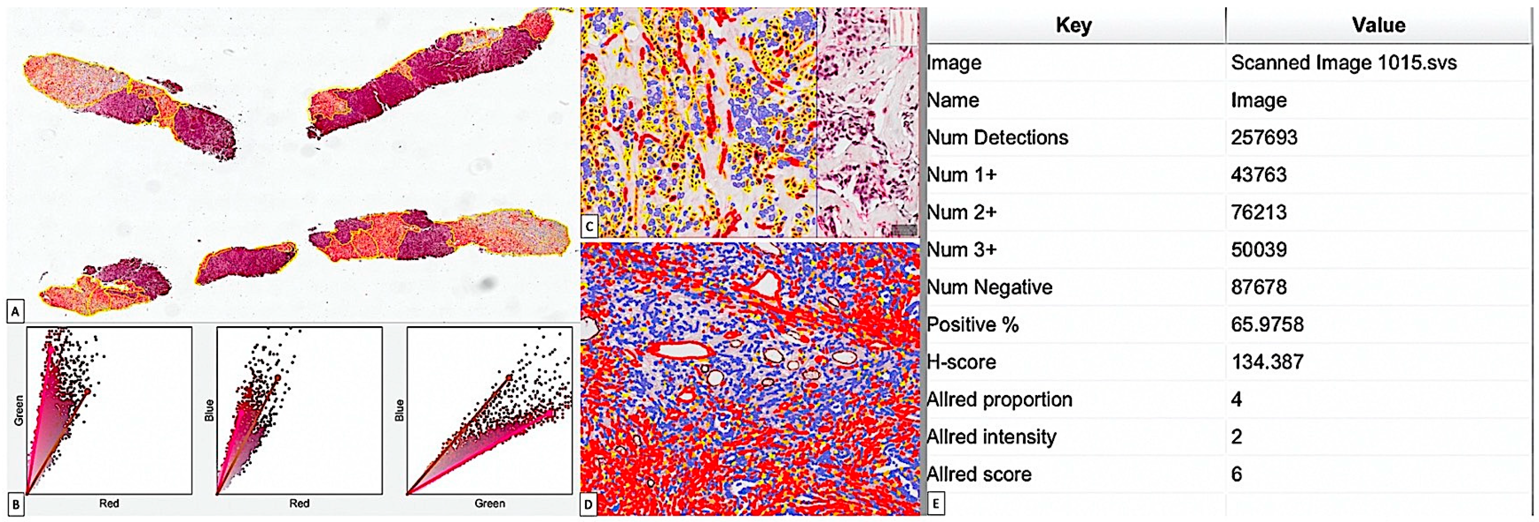 Cancers 15 03823 g001 Cancers 15 03823 g001