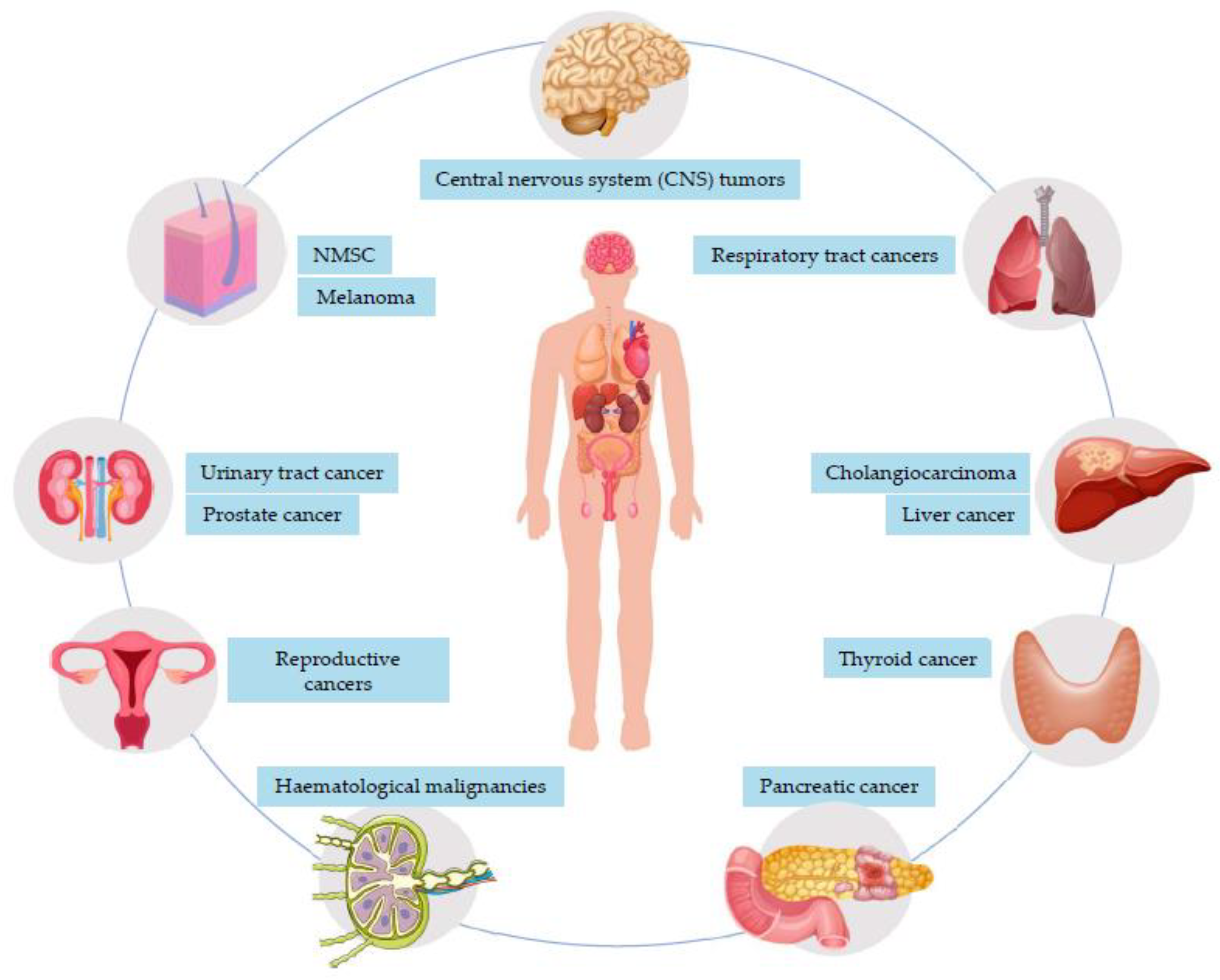 Cancers 15 03824 g001