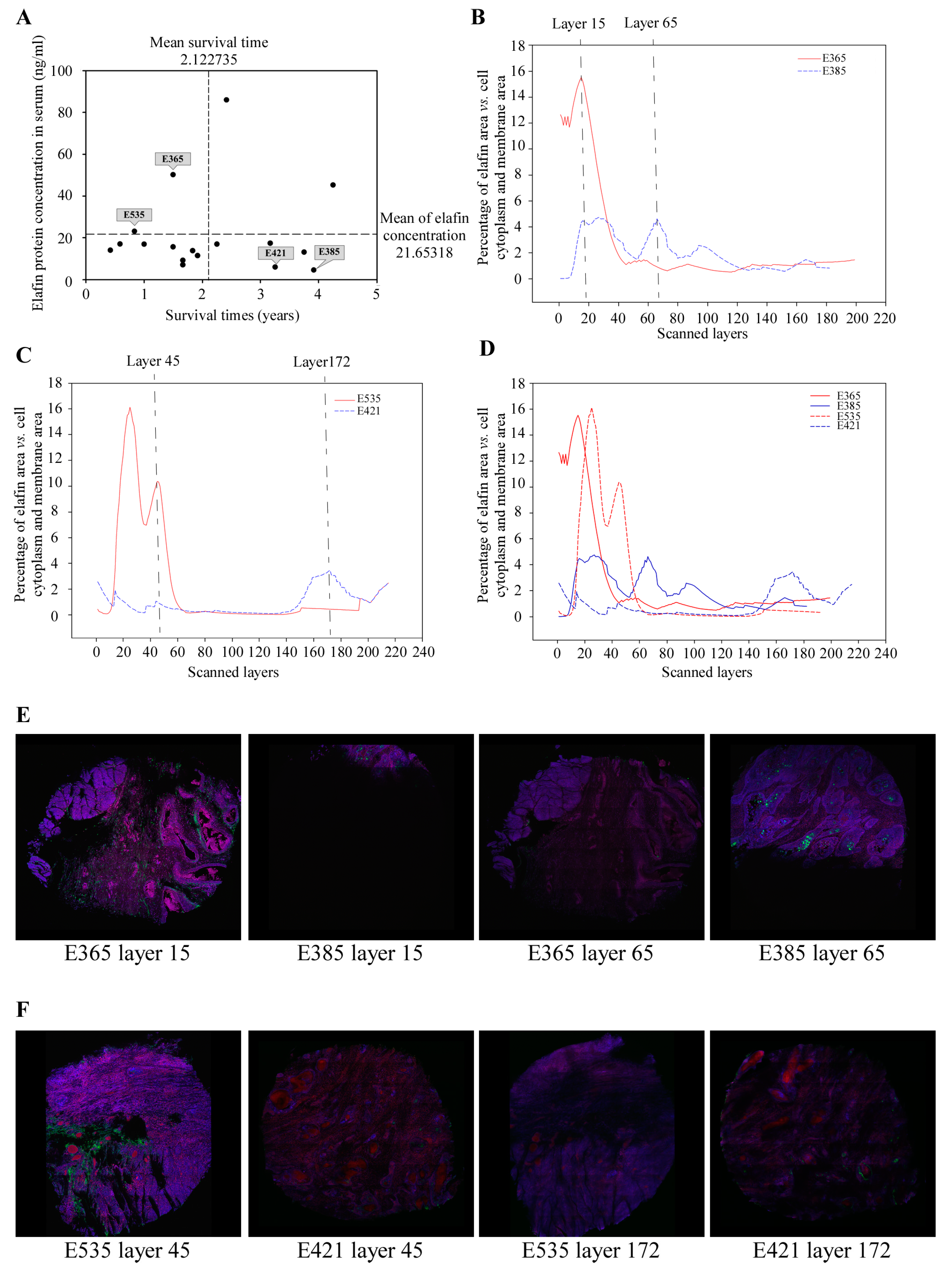 Cancers 15 03825 g001