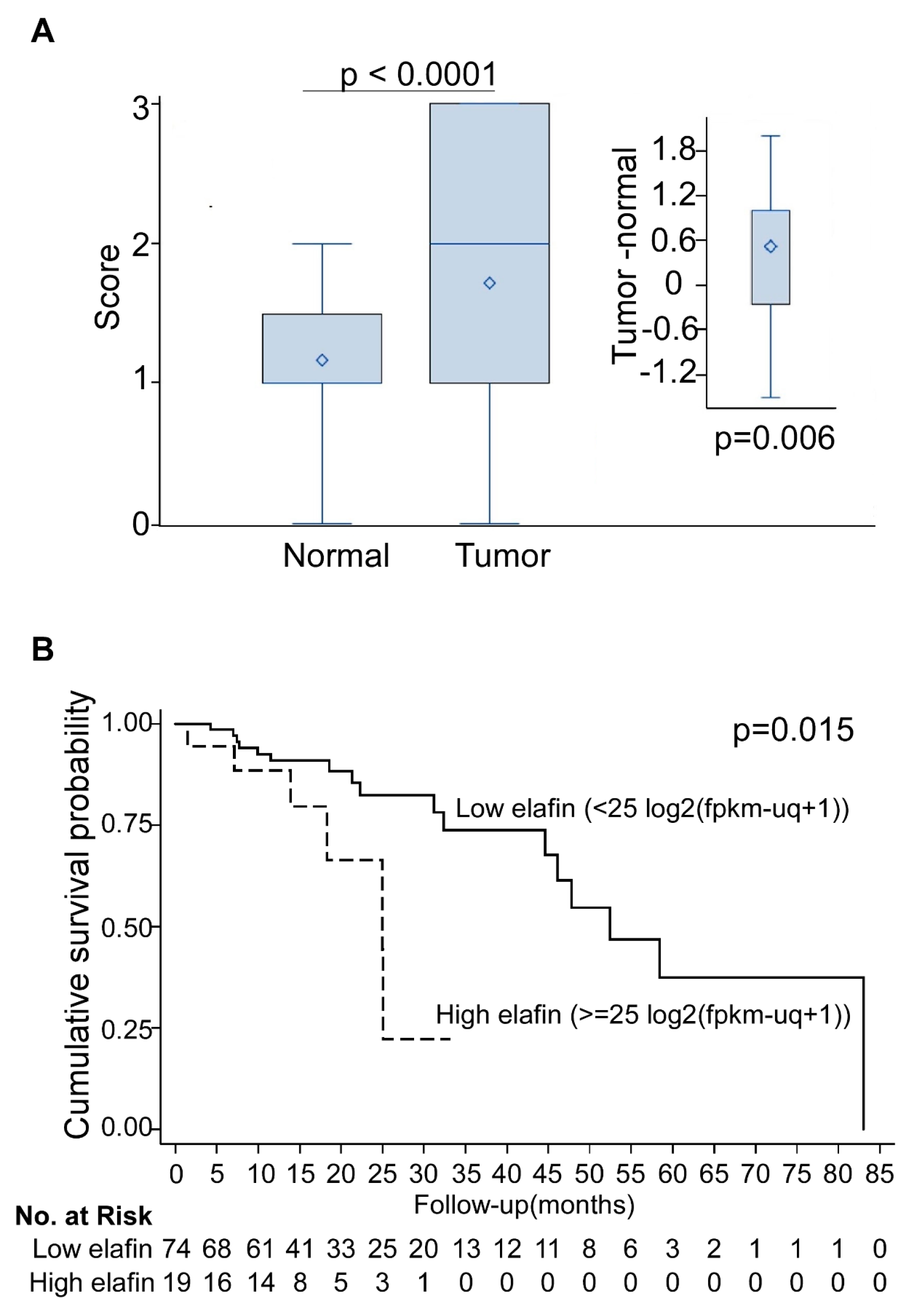 Cancers 15 03825 g003