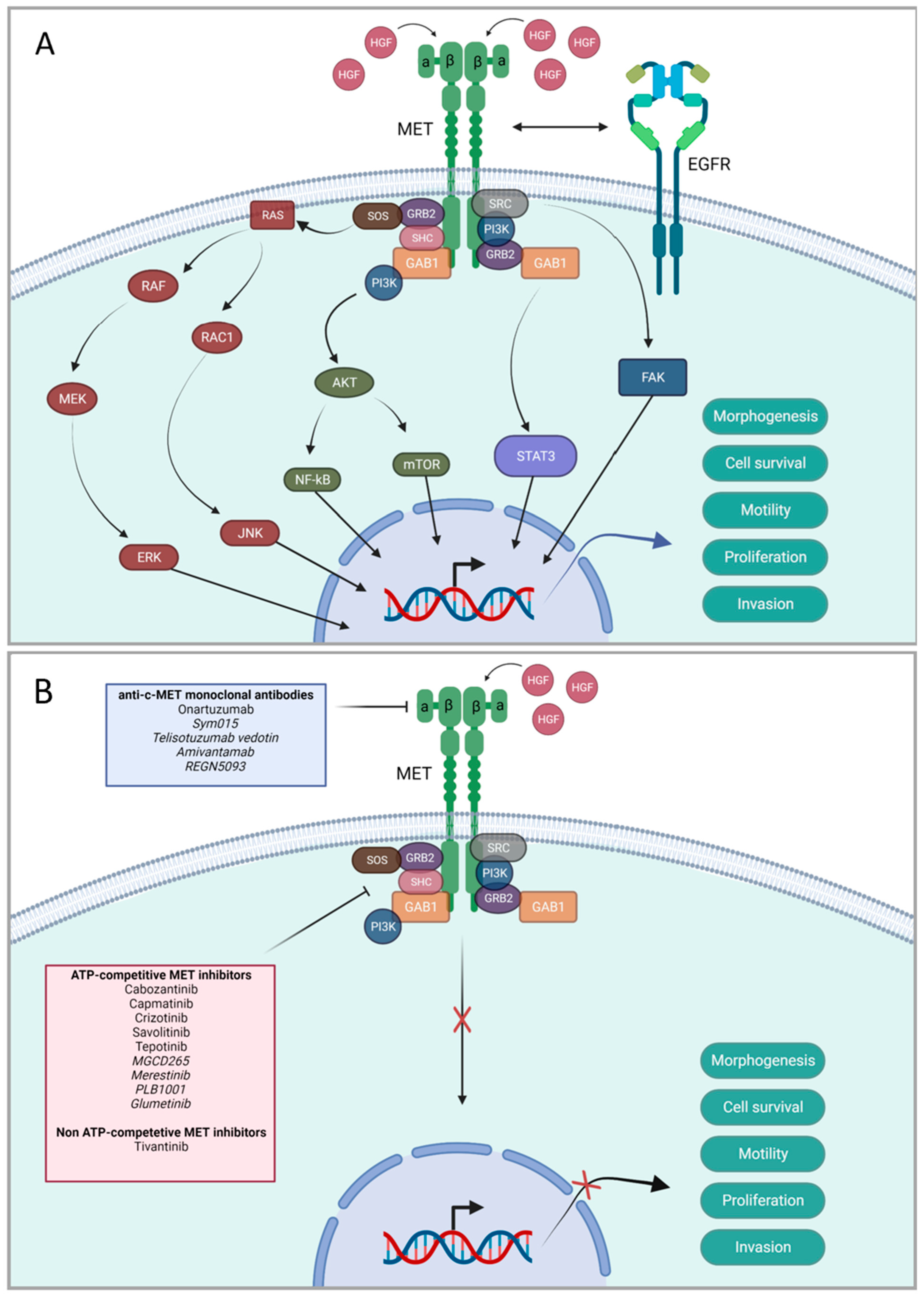 Cancers 15 03827 g001