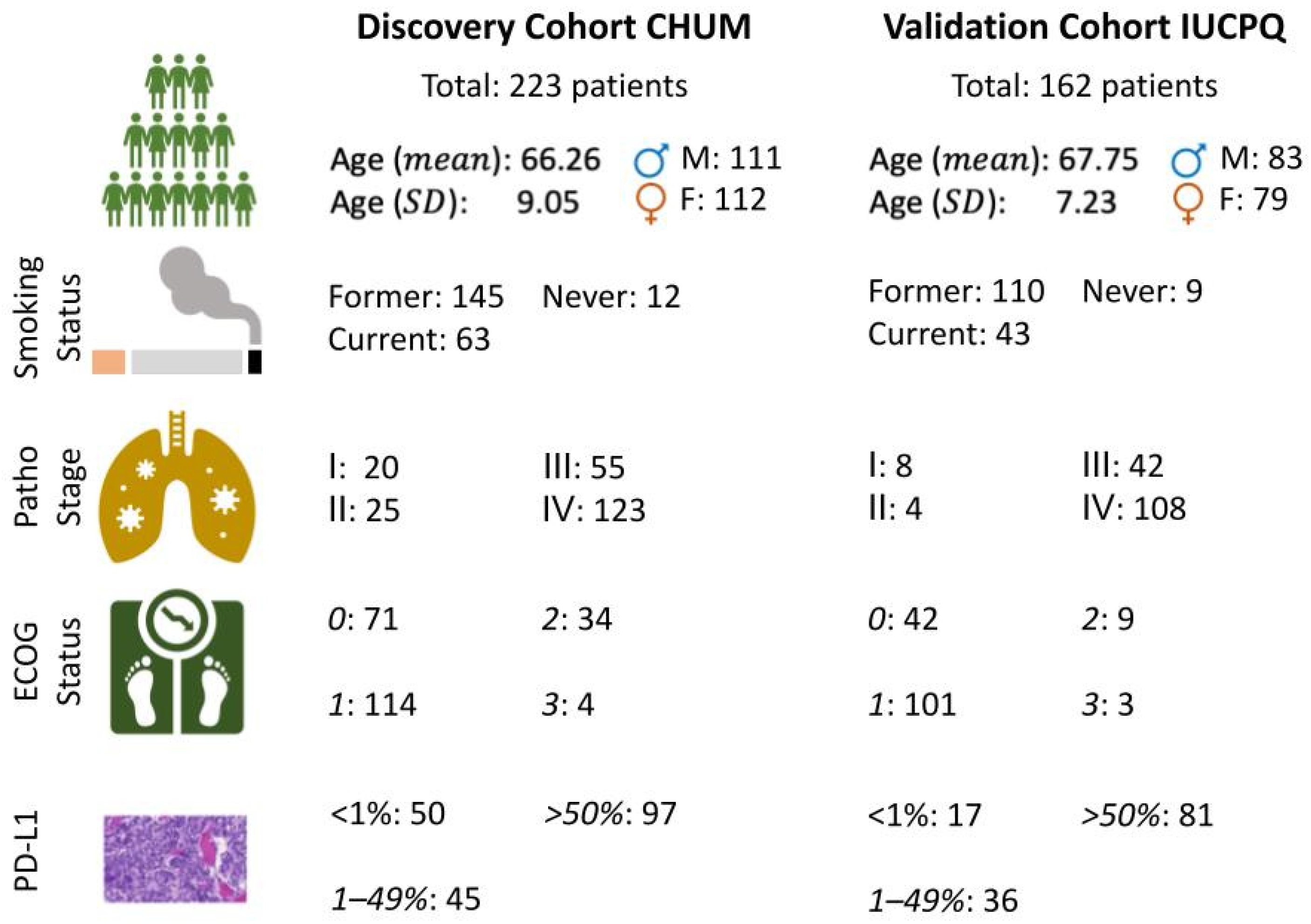 Cancers 15 03829 g002 Cancers 15 03829 g002