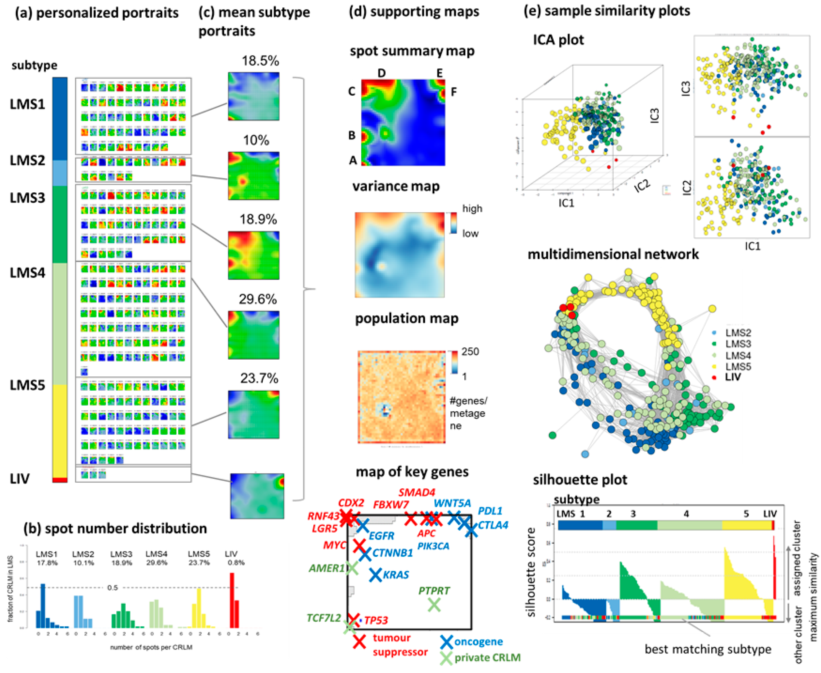 Cancers 15 03835 g001